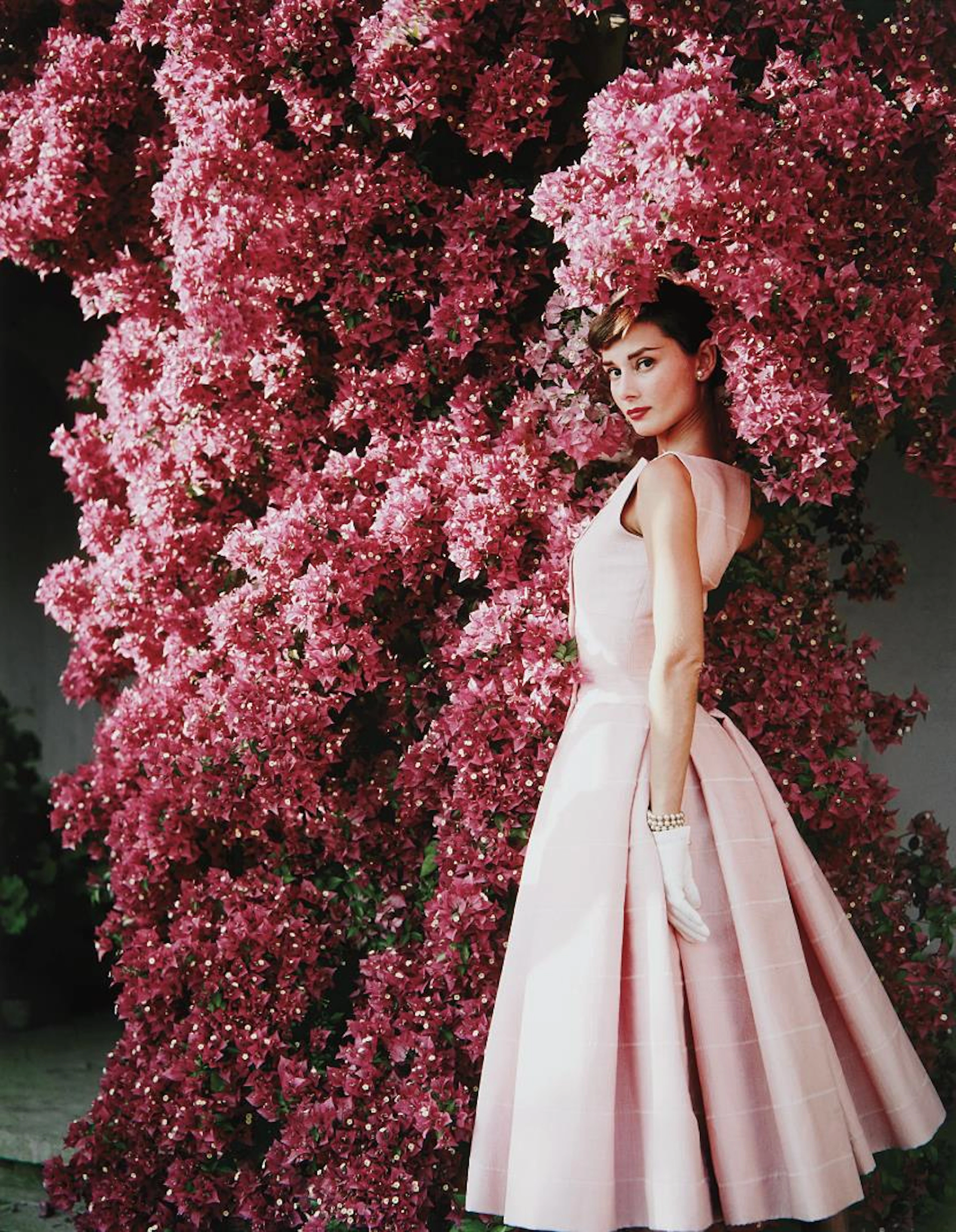 Audrey Hepburn with Flowers II, Rome, 1955 – Norman Parkinson