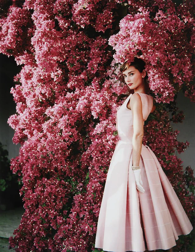 Audrey Hepburn with Flowers II, Rome, 1955 – Norman Parkinson