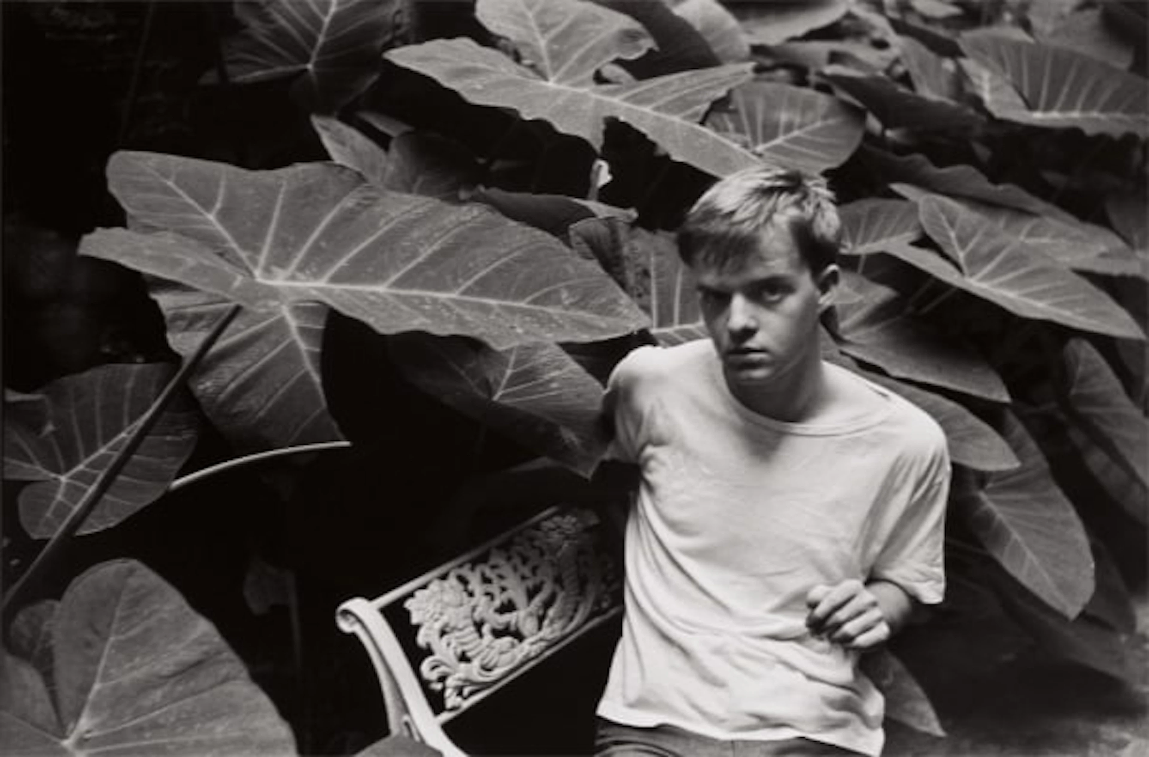 Truman Capote, New Orleans