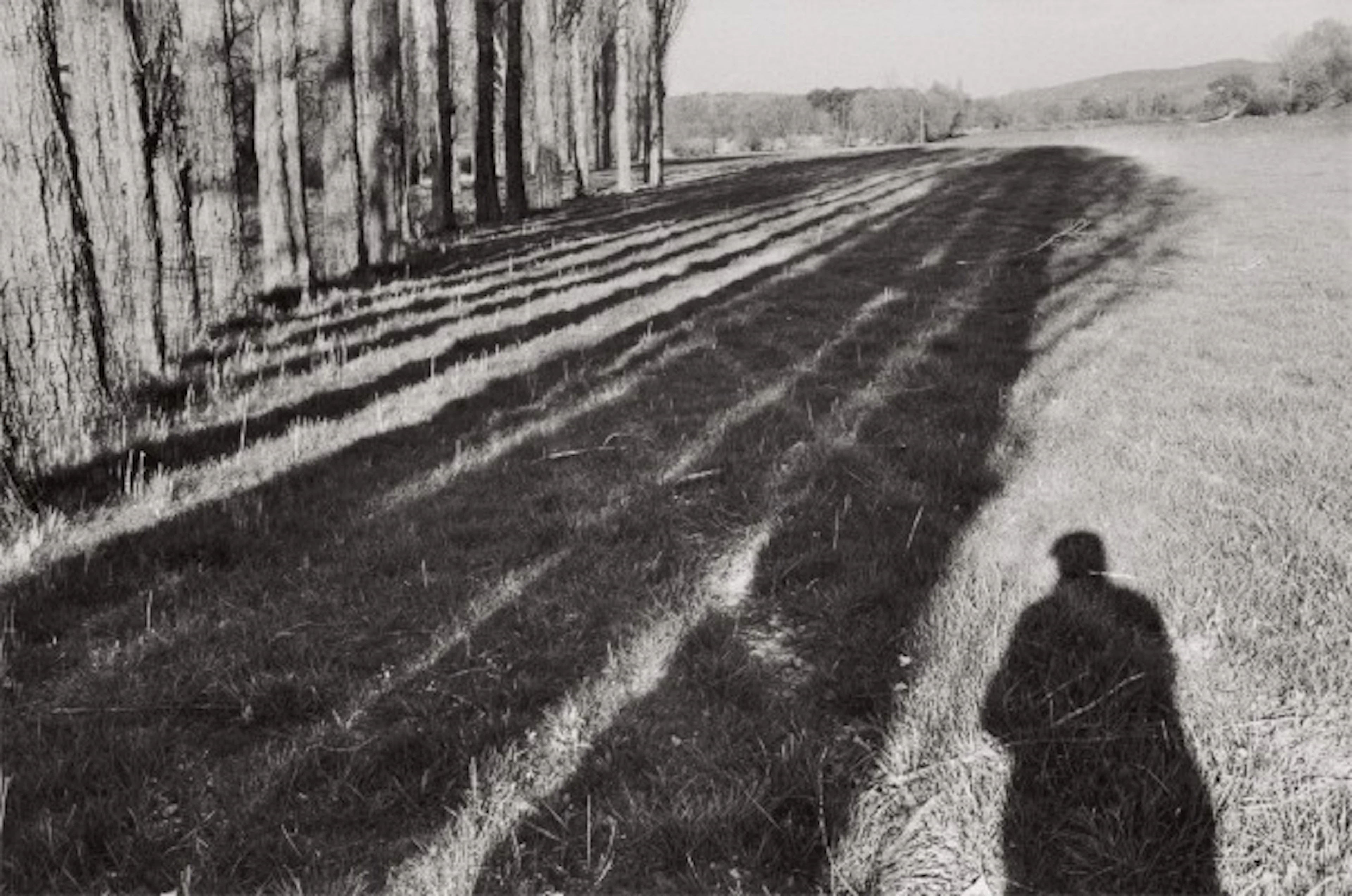Near Céreste, Alpes-de-Haute-Provence, France (self-portrait)