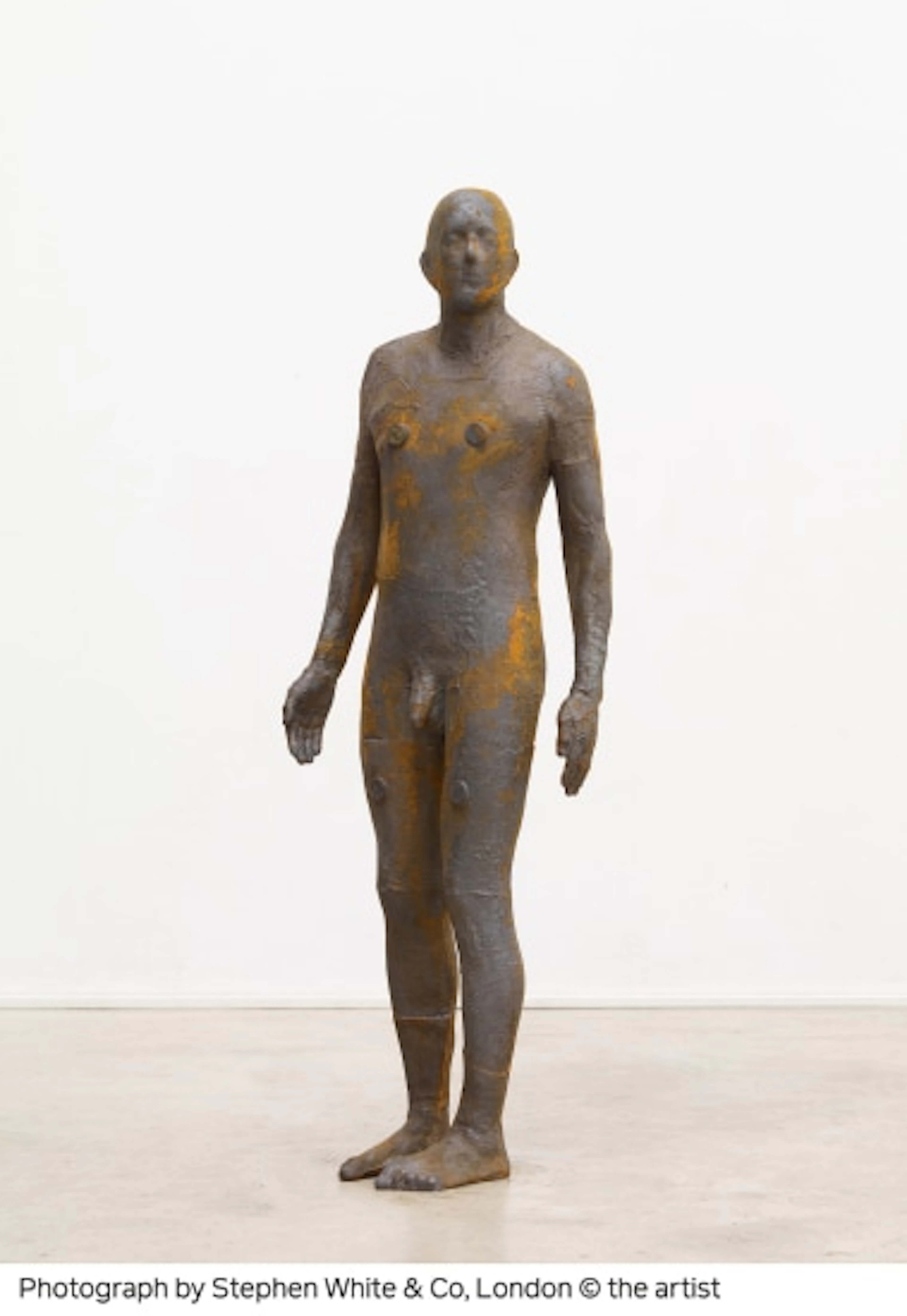 Antony Gormley - 6 Times Lef