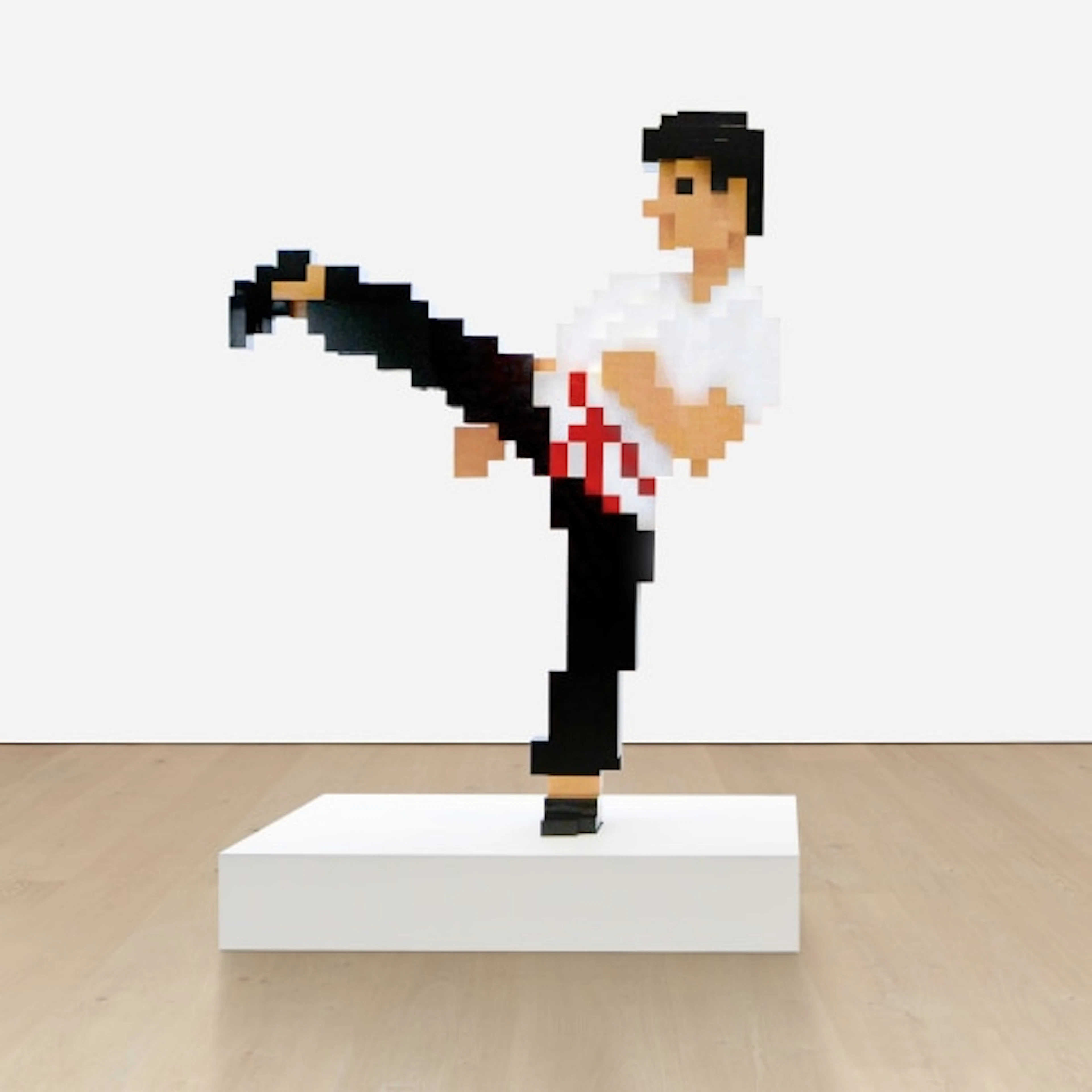Invader - Bruce Lee 3D