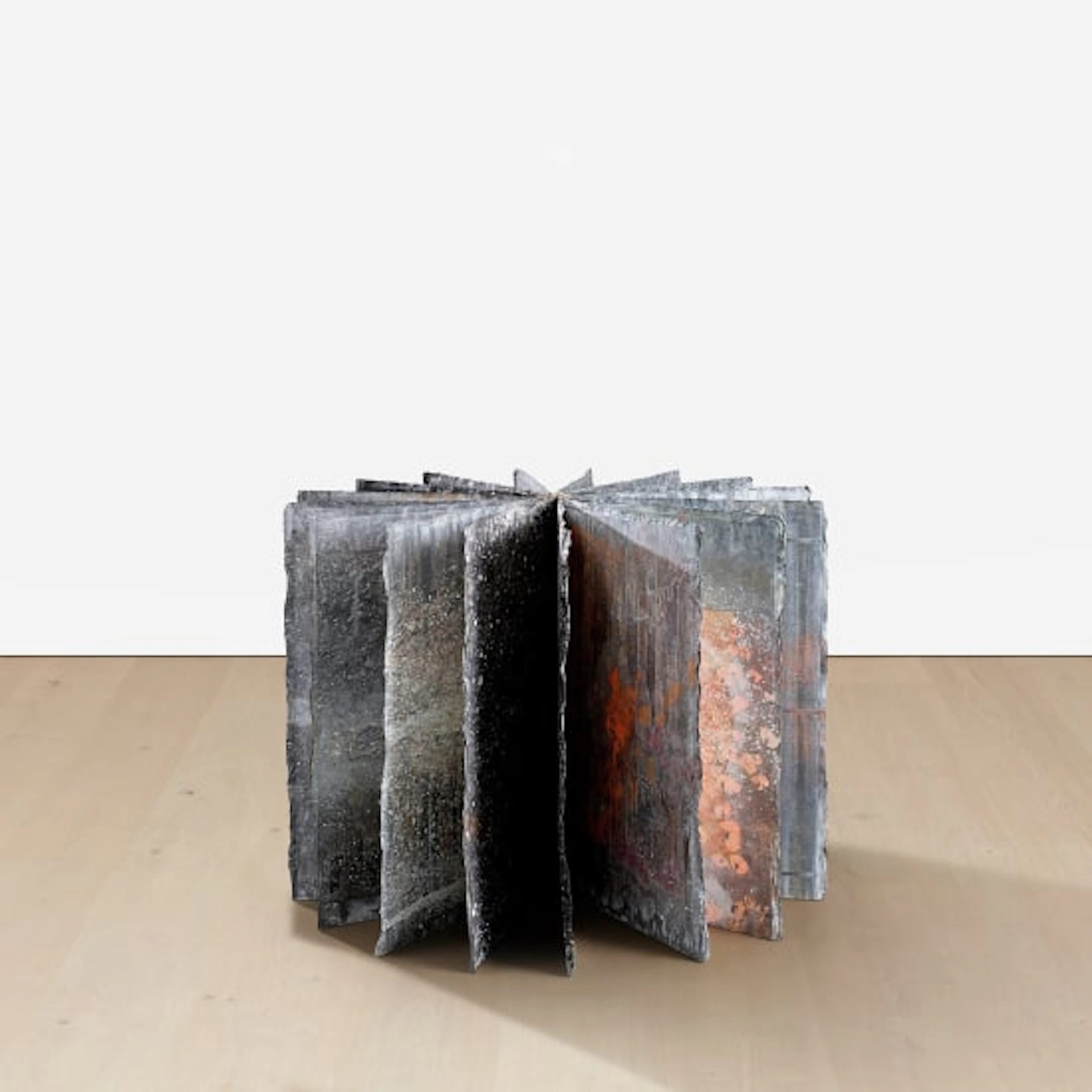 Anselm Kiefer - Star Book