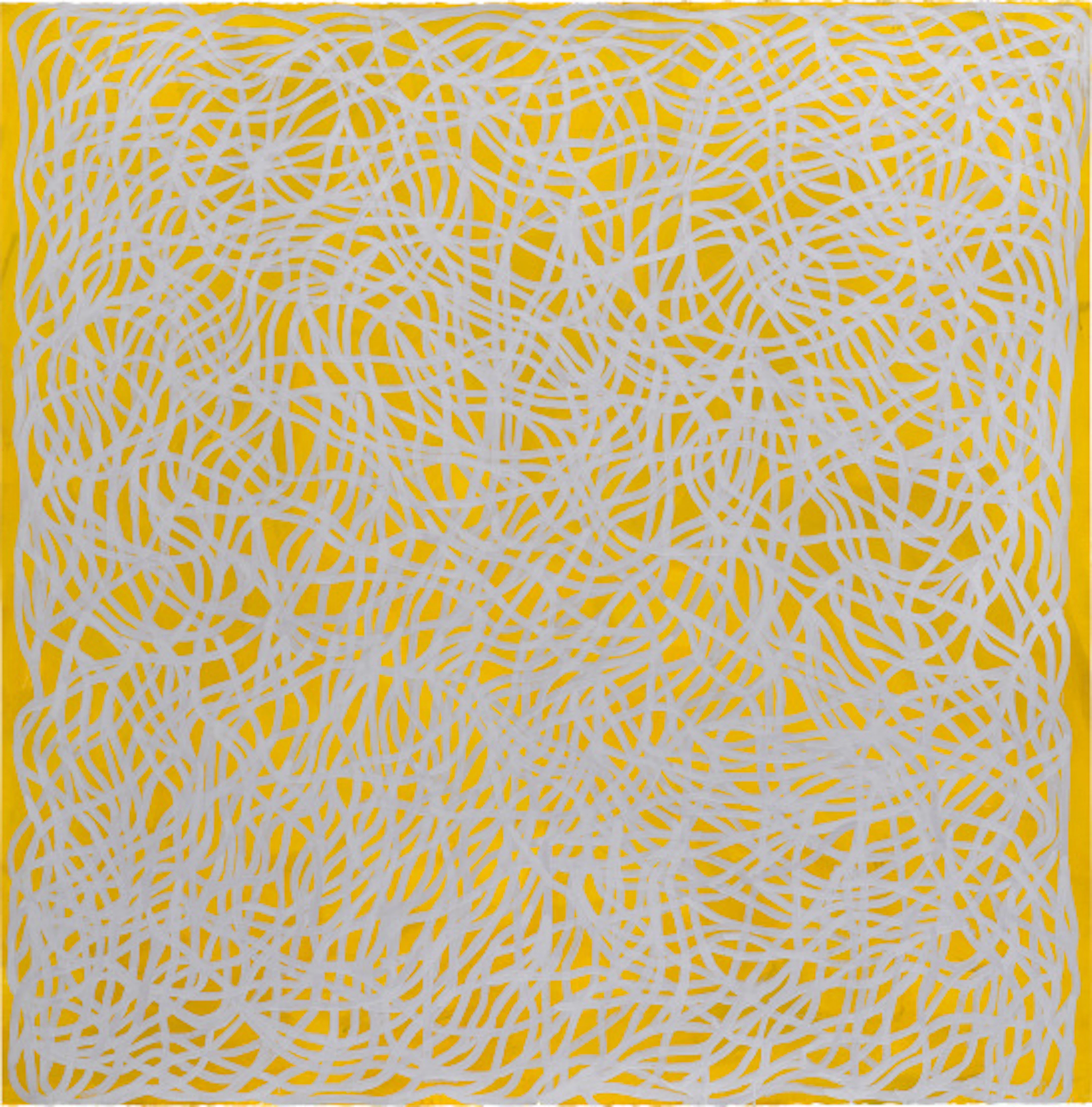 Sol LeWitt - Irregular Loops