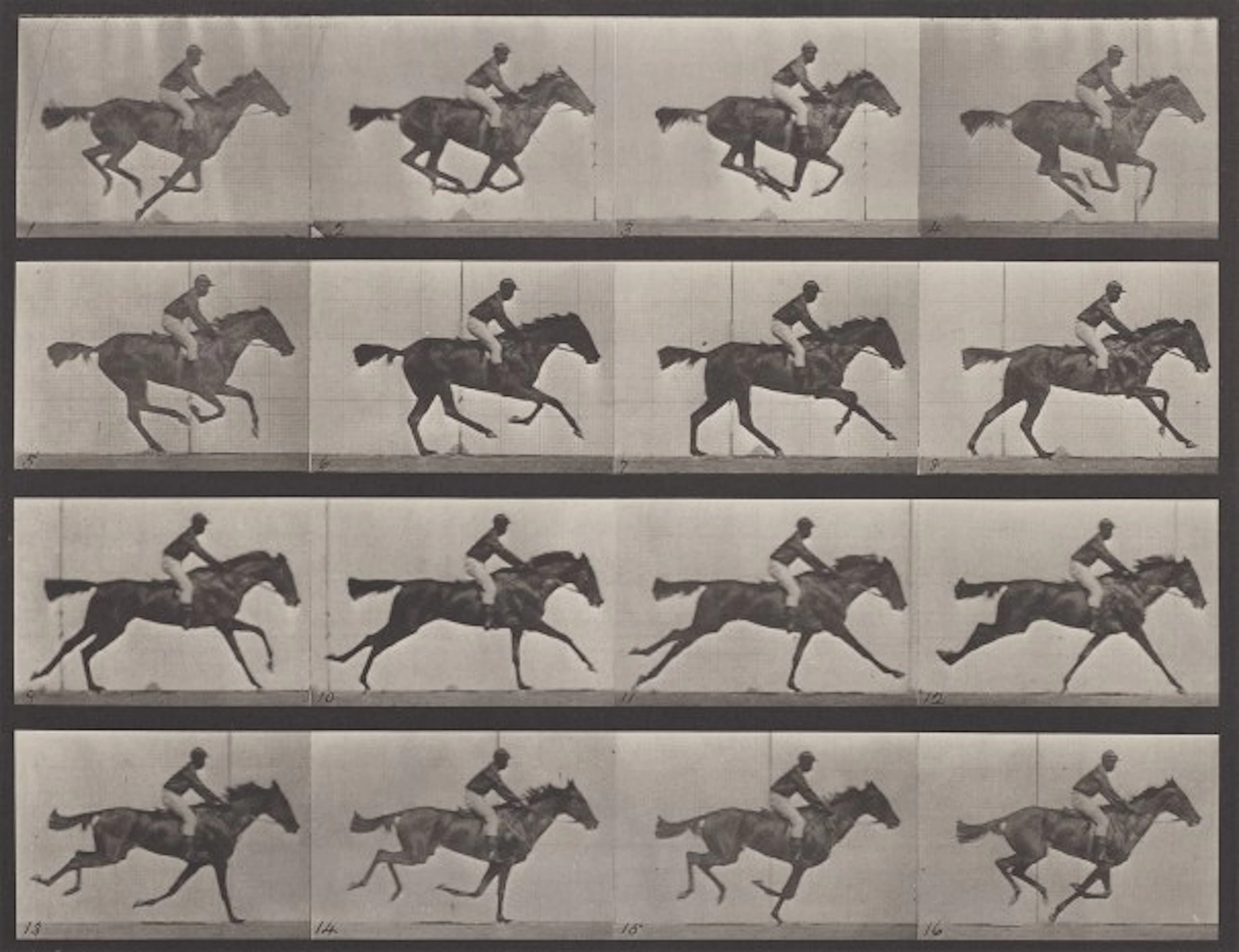 Eadweard Muybridge - Motion Study, Horse and Ride