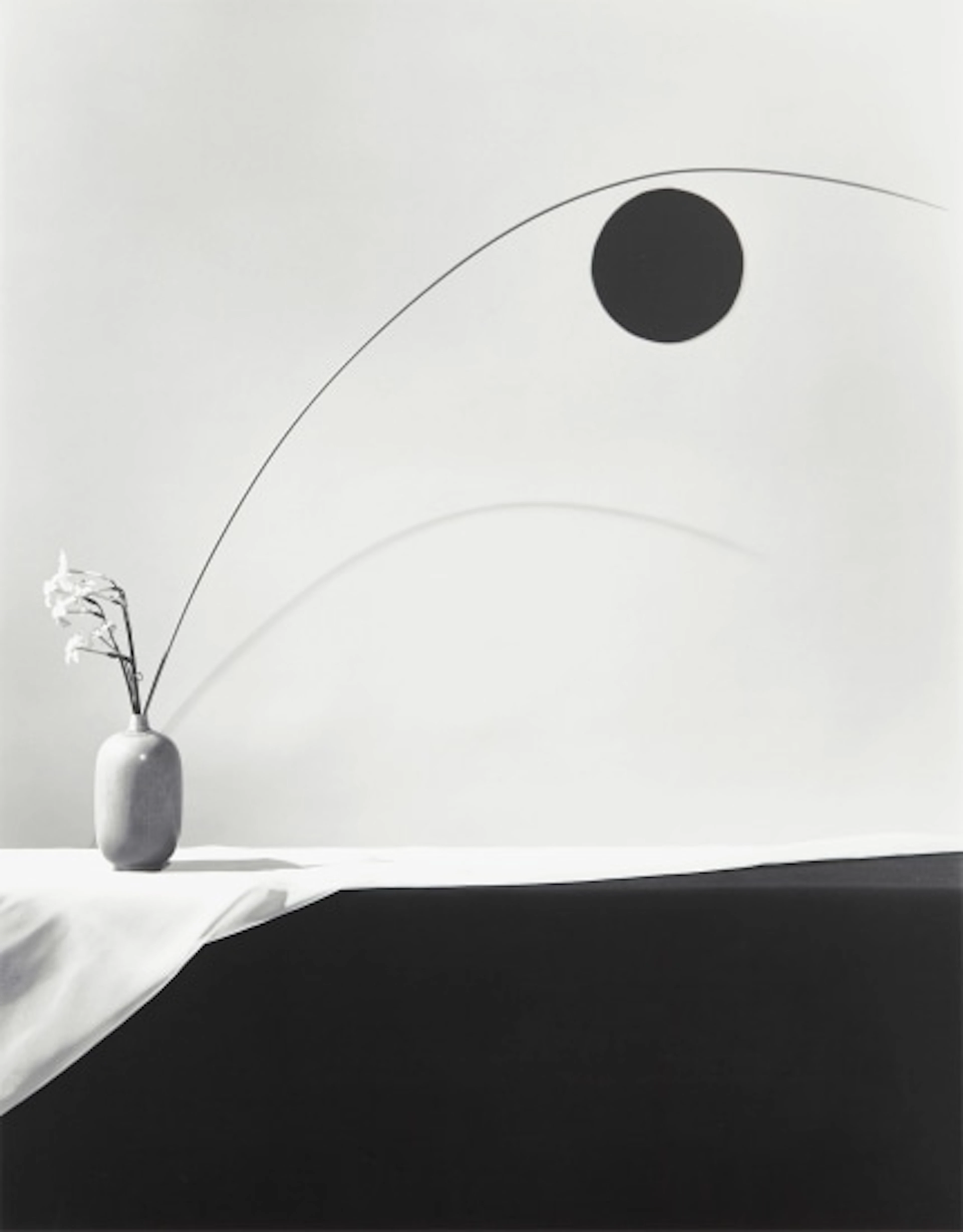 Robert Mapplethorpe - Flowe