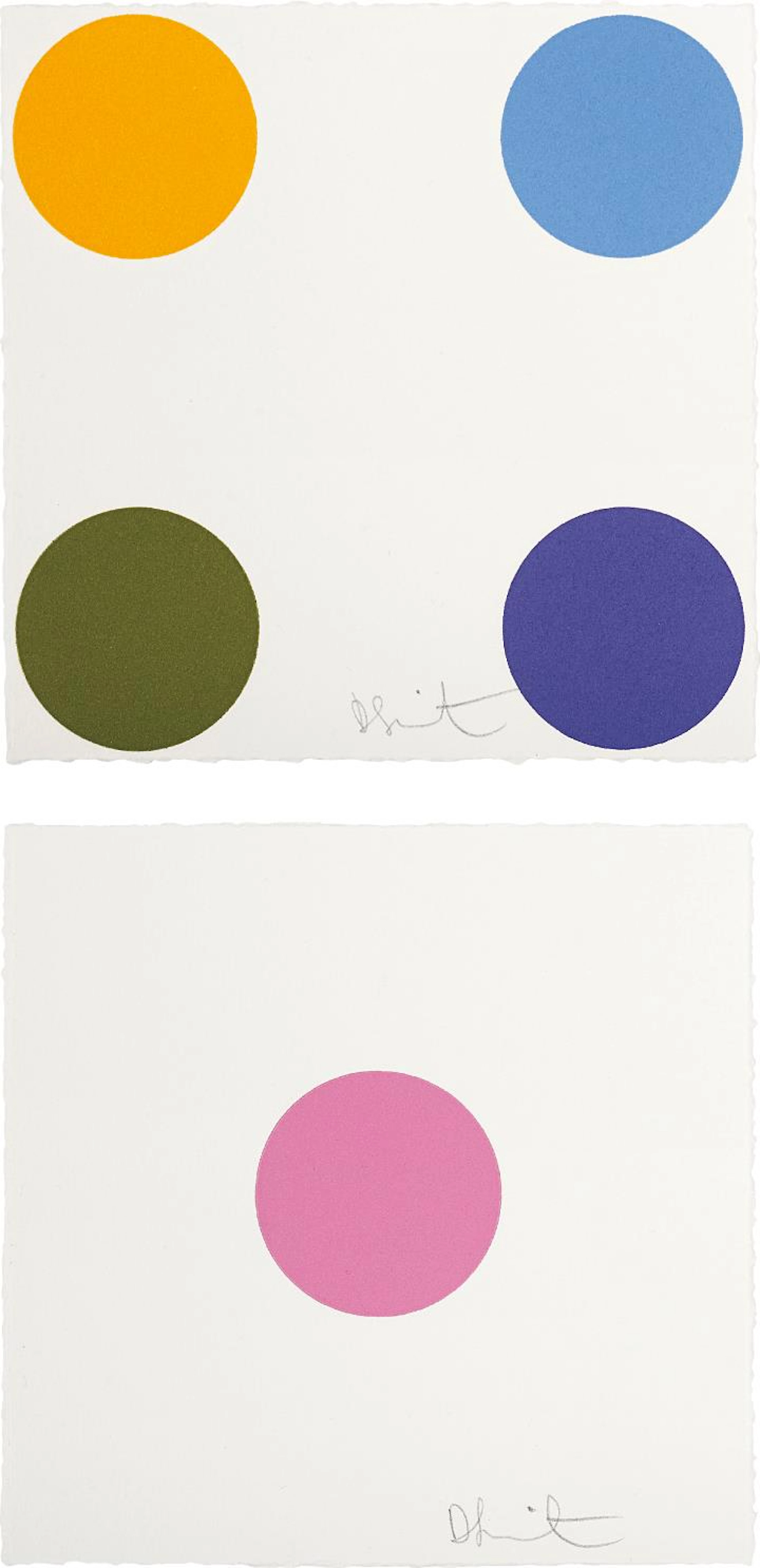 Picrotoxin; and Nifedipine, from 40 Woodcut Spots, 2011 – Damien Hirst