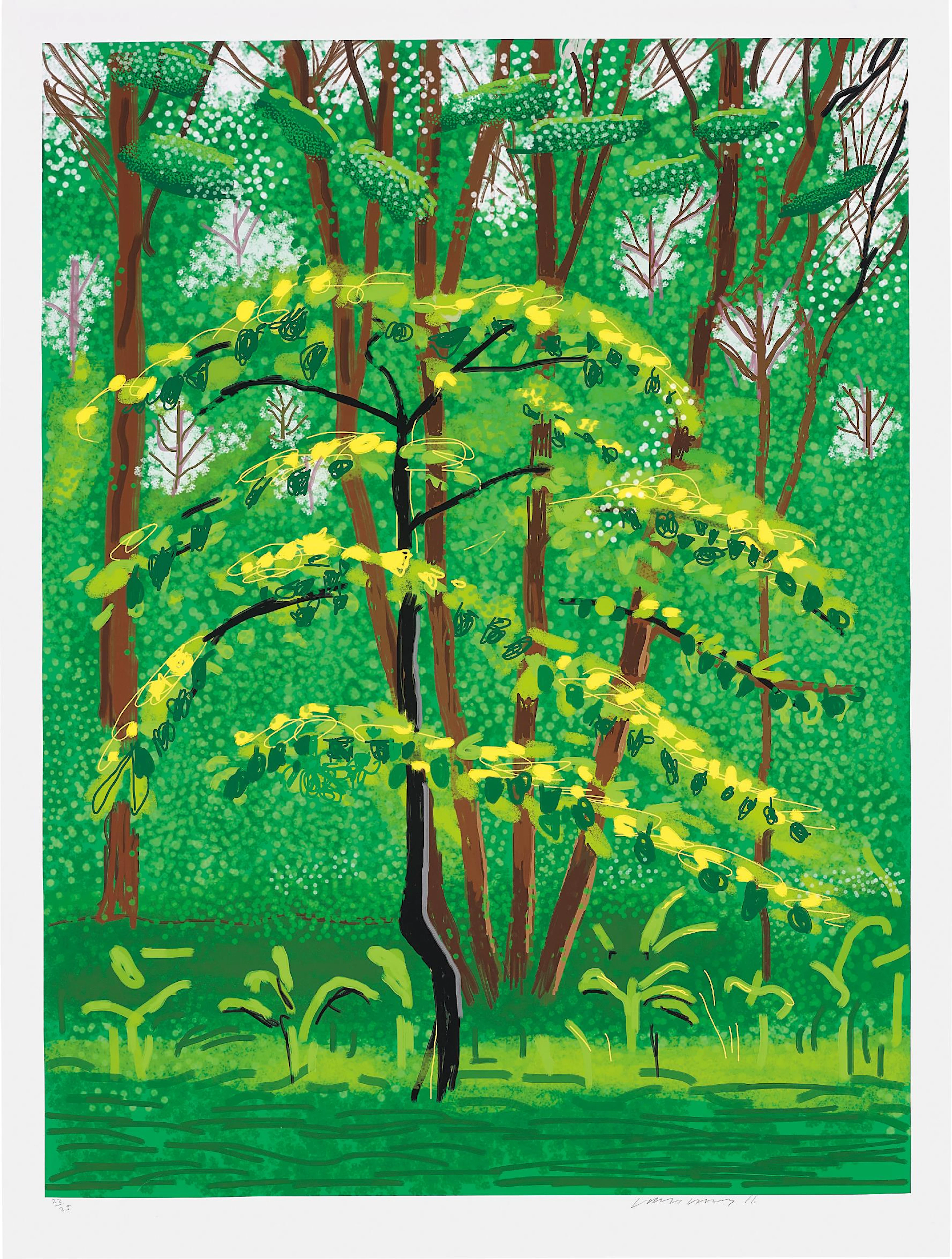 19 May, from The Arrival of Spring in Woldgate, East Yorkshire in 2011 (twenty eleven), 2011 – David Hockney