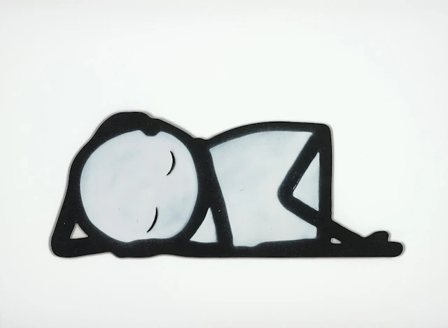 Rough Sleeper, 2010 – Stik
