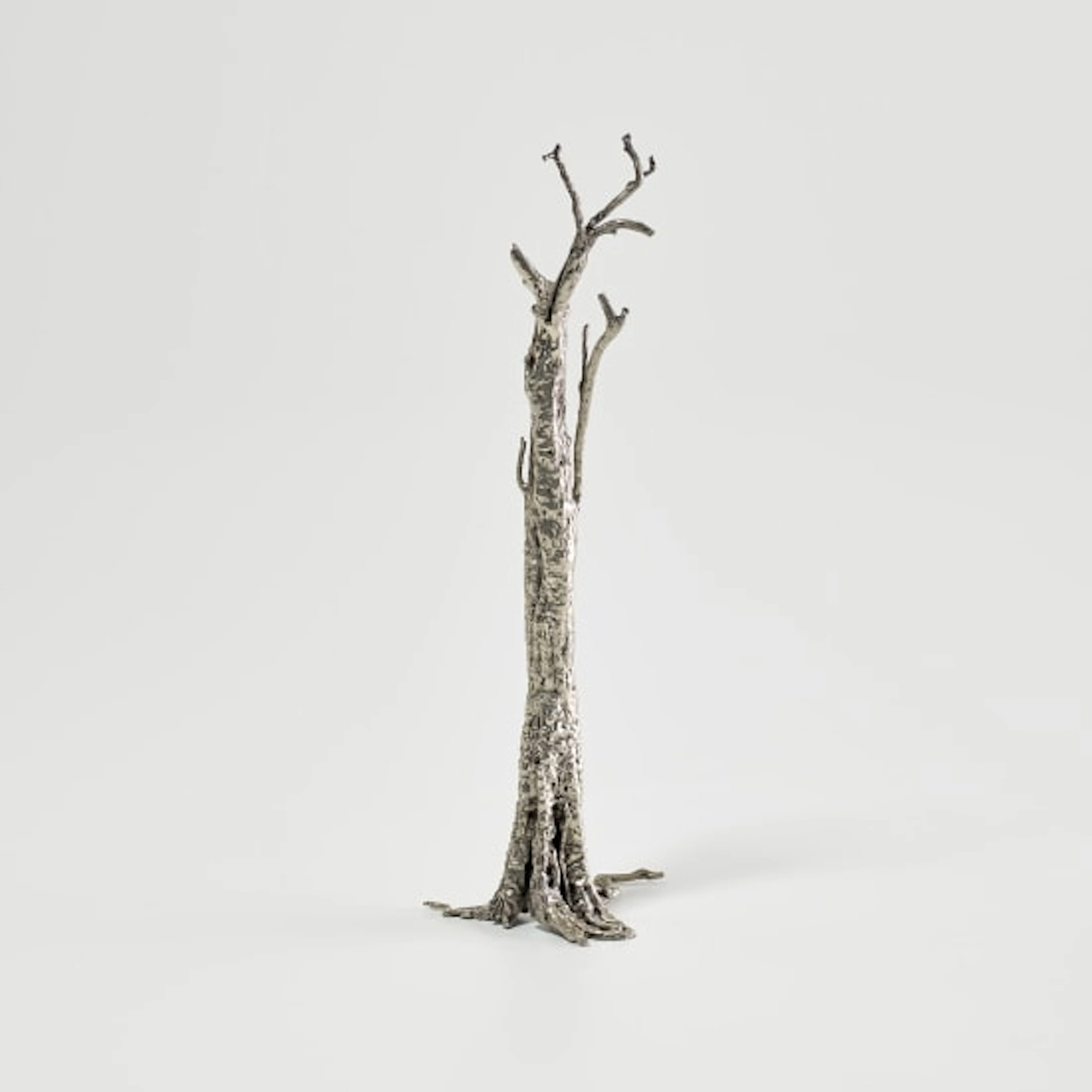 Ai Weiwei - Pequi Tree