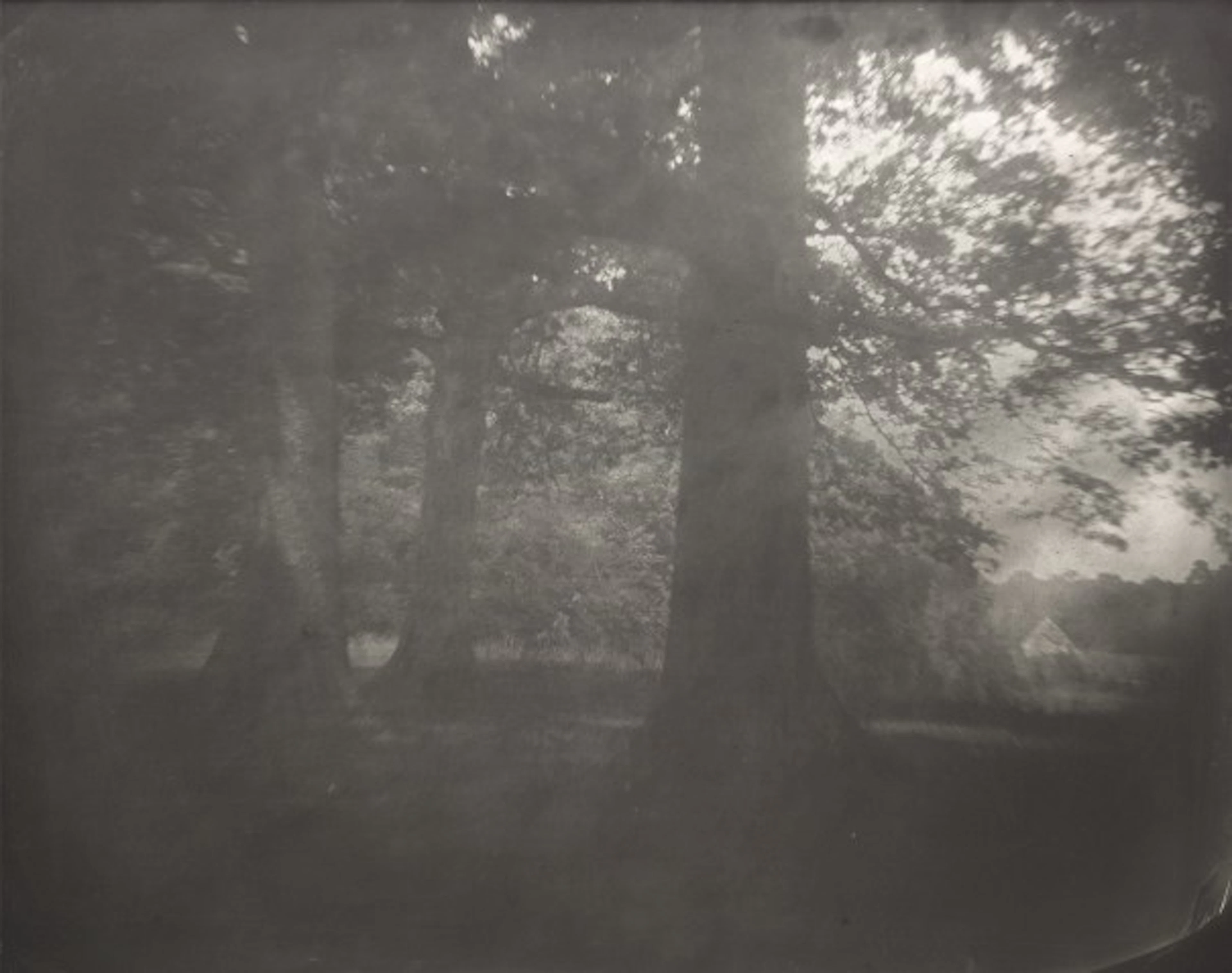 Sally Mann - Untitled from Antietam