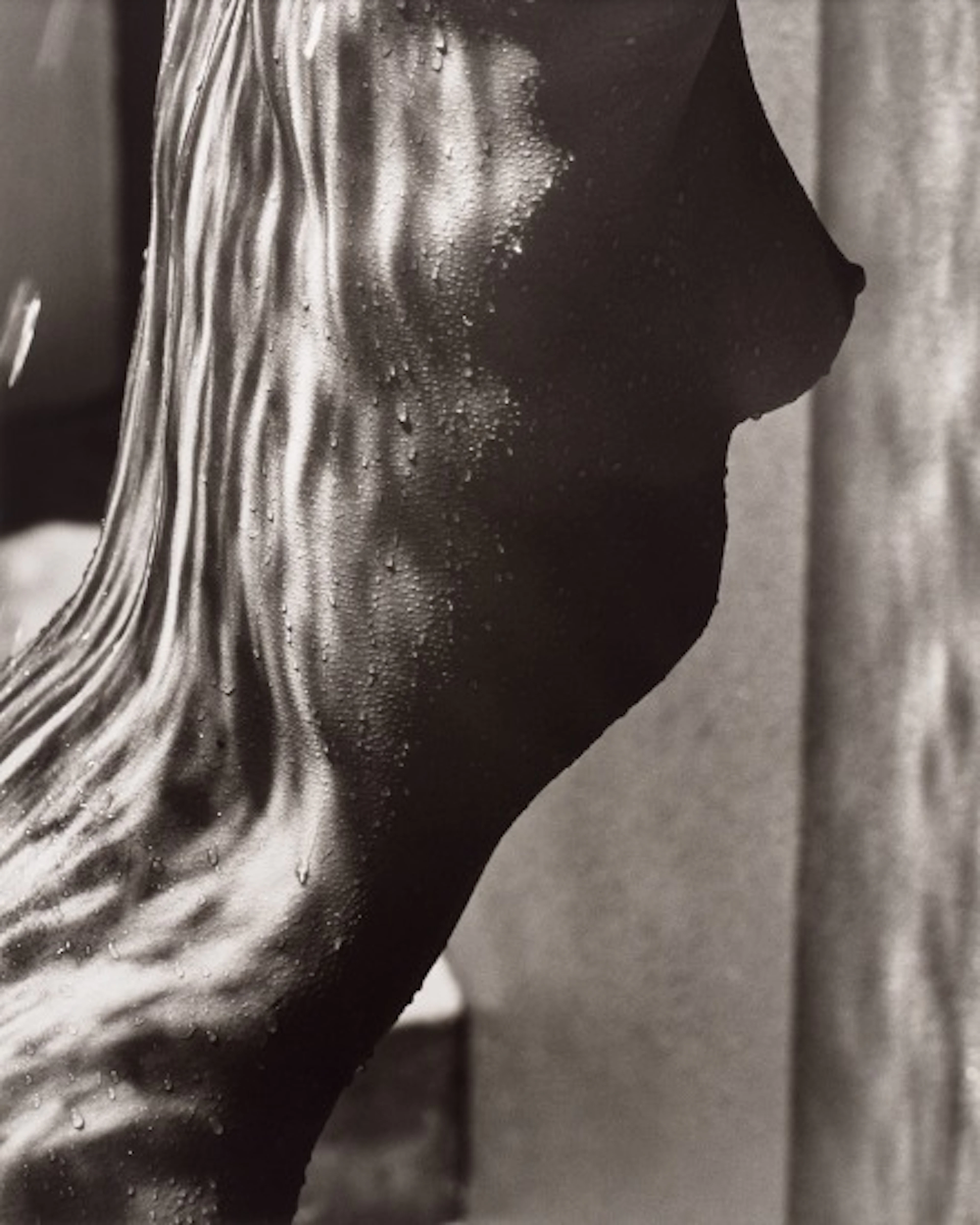 Herb Ritts - Female Torso Detail, Hollywood