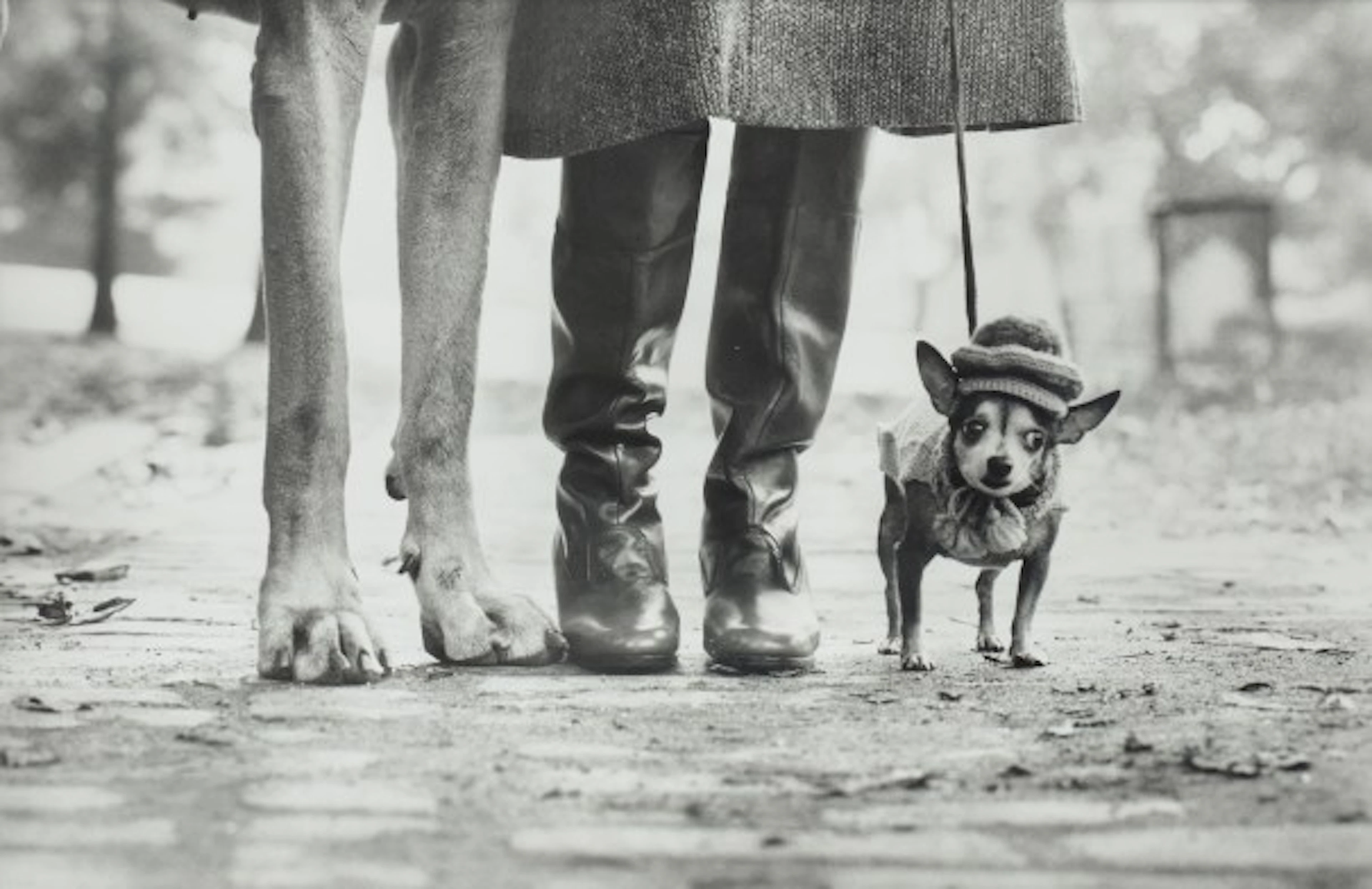 Elliott Erwitt - New York City