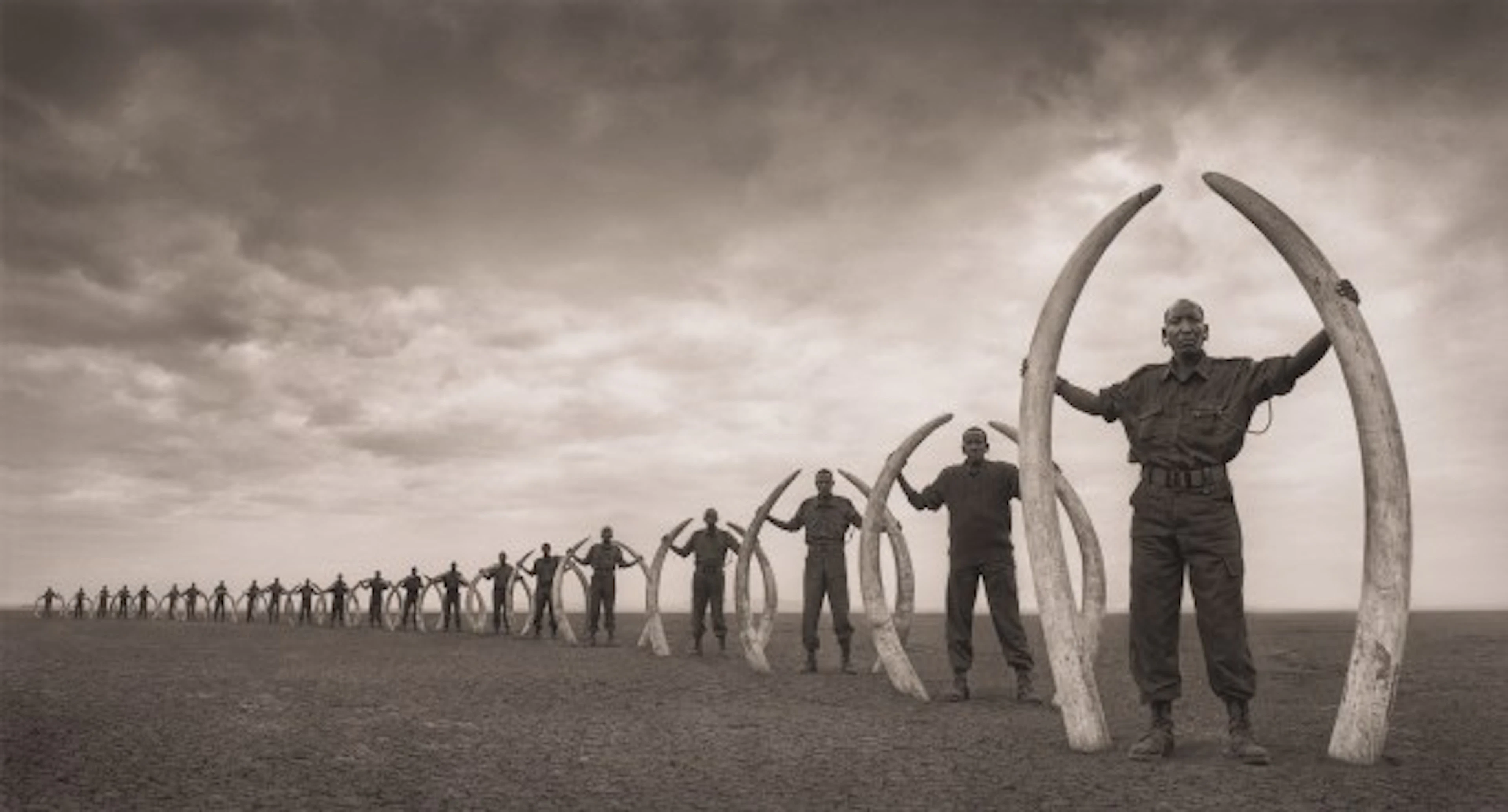 Nick Brandt - Line of Rangers, Amboseli
