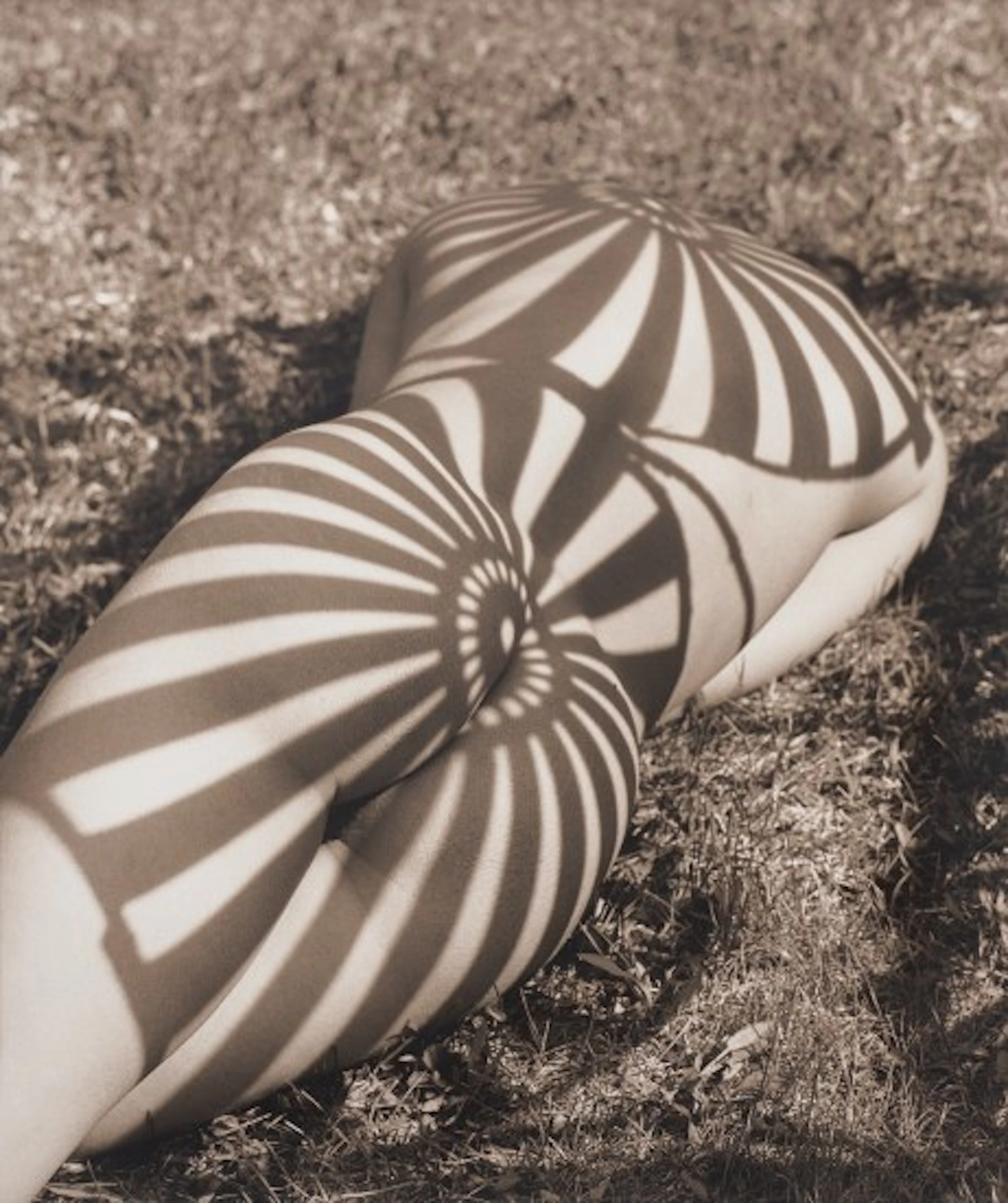 Herb Ritts - Neith with Shadows, Rear View, Pound Ridge, New York