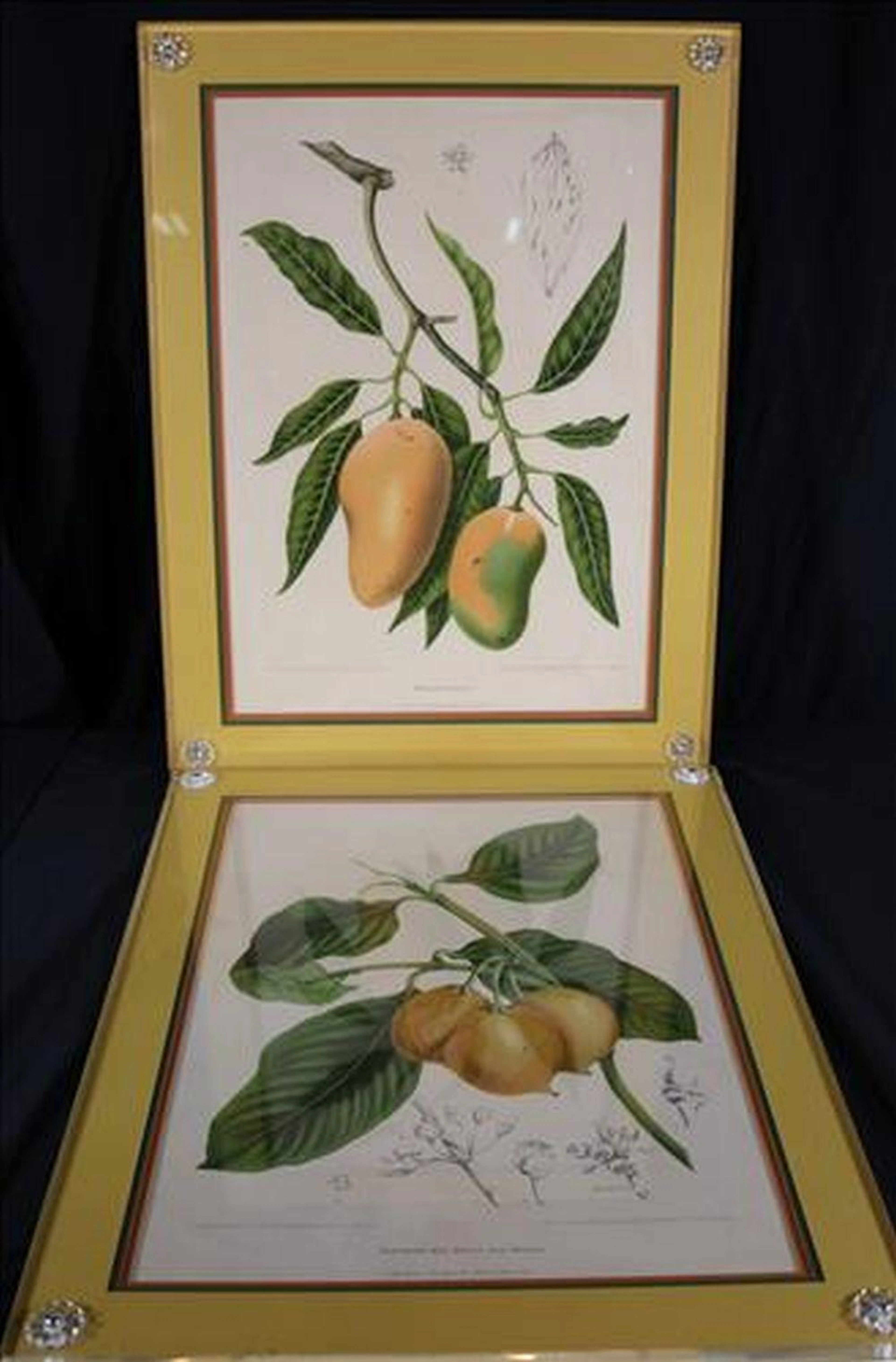 Pair of prints, 23 x 18