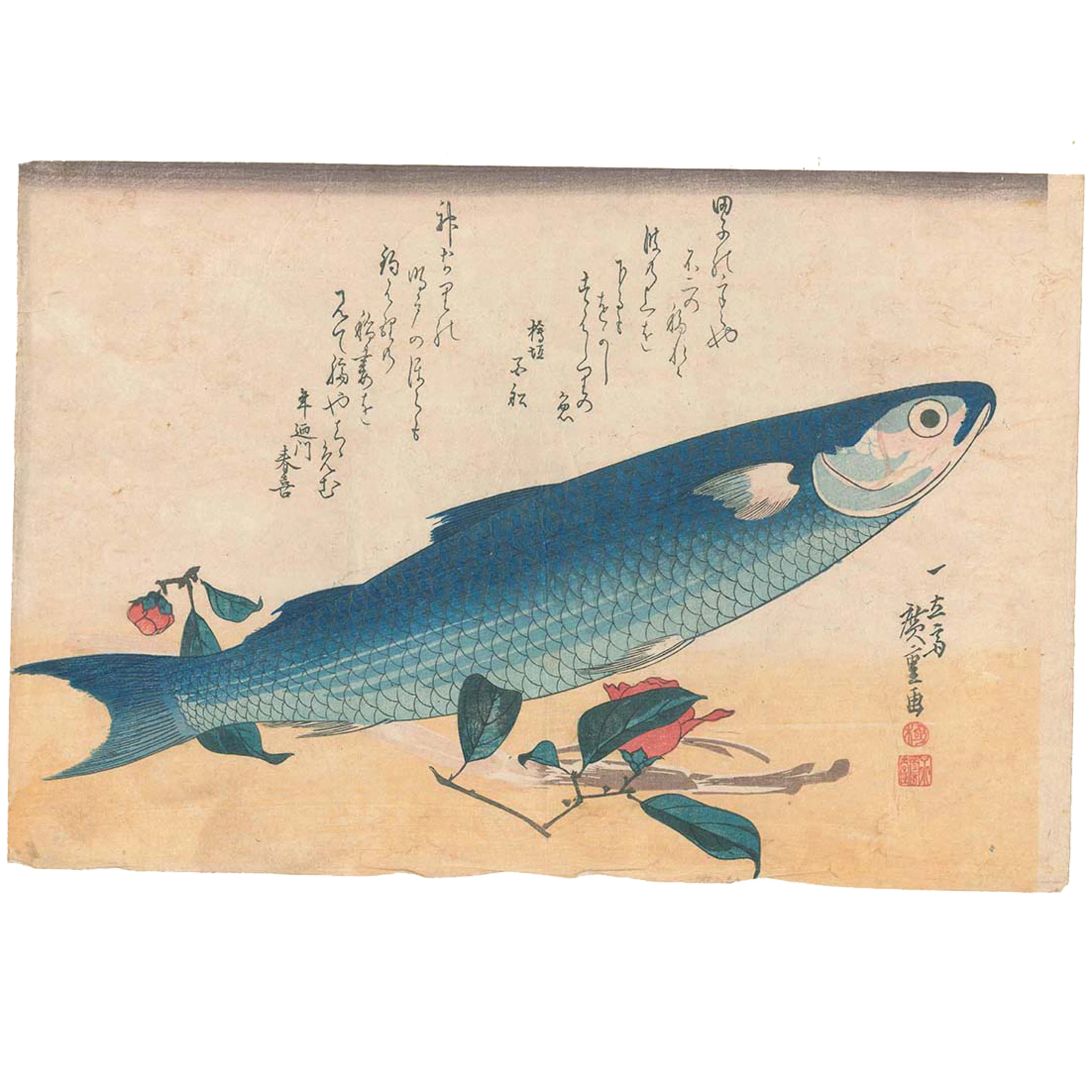Utawaga Hiroshige (1797-1858)Oban yoko-e de la série "Uwo zukushi"