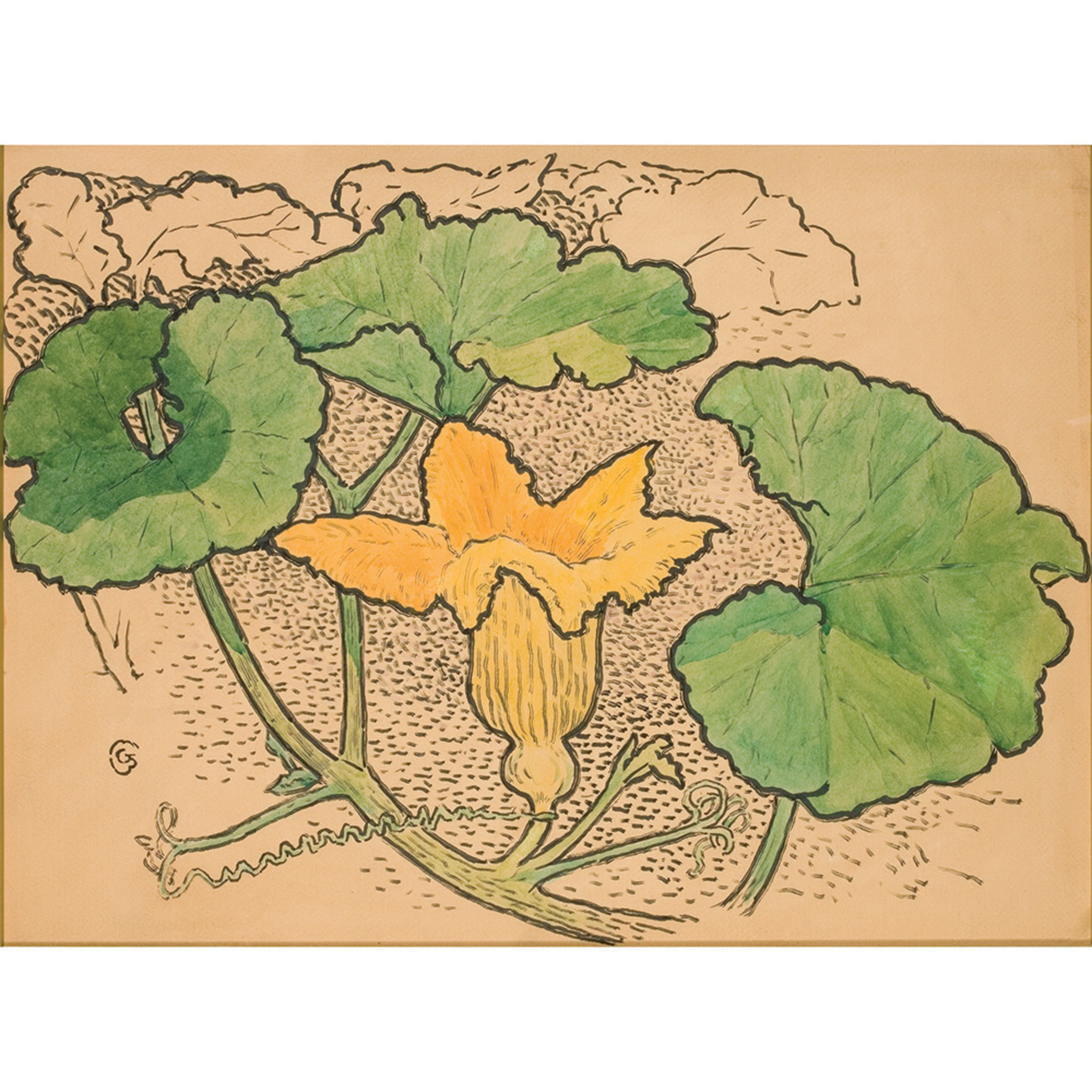 COMBAZ, Gisbert (Anvers 1869 - 1941 Bruxelles) CINQ ETUDES DE FLEURS.