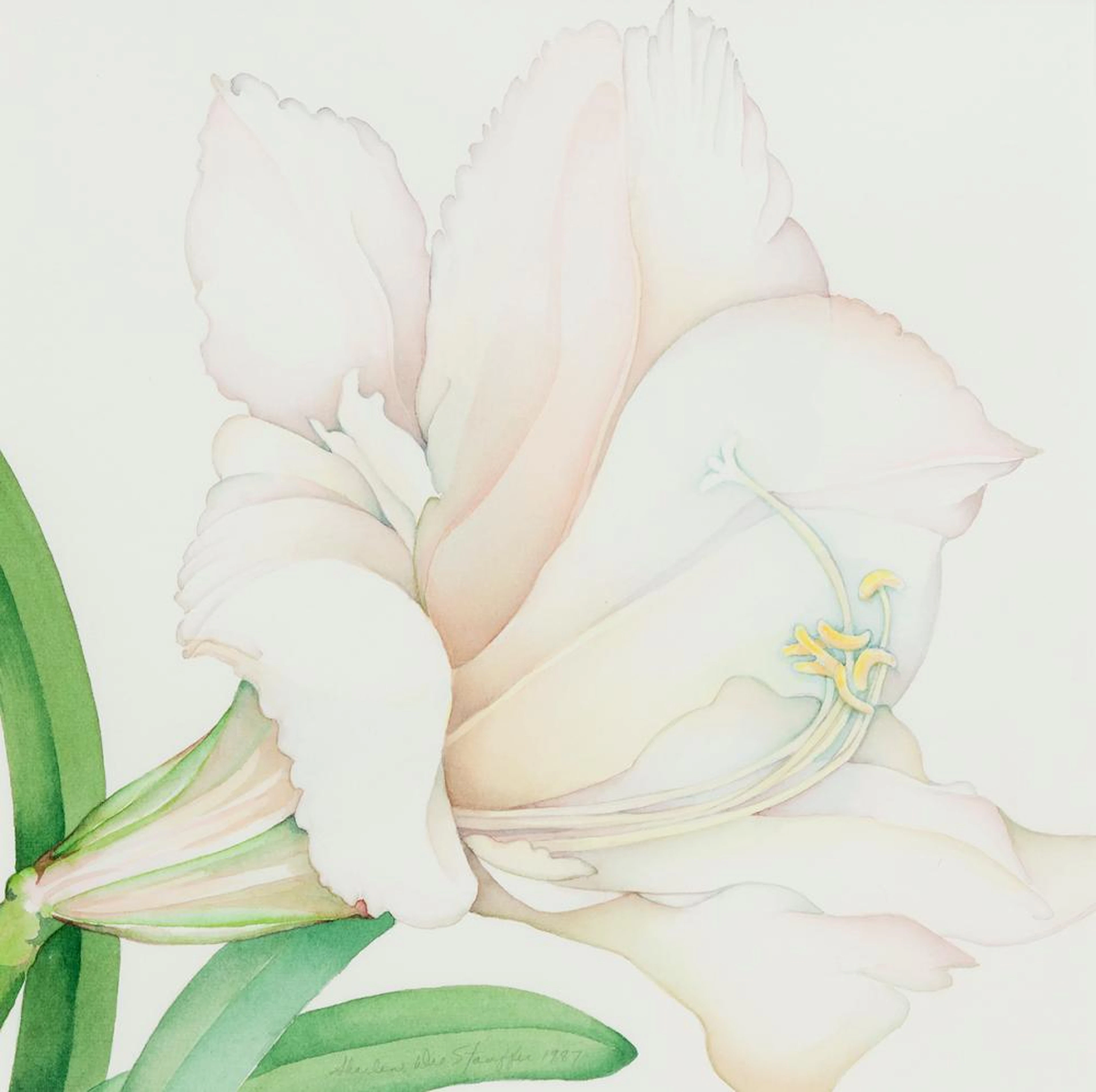 SHARLENE DEE STAUFFER - The Muslin Frock