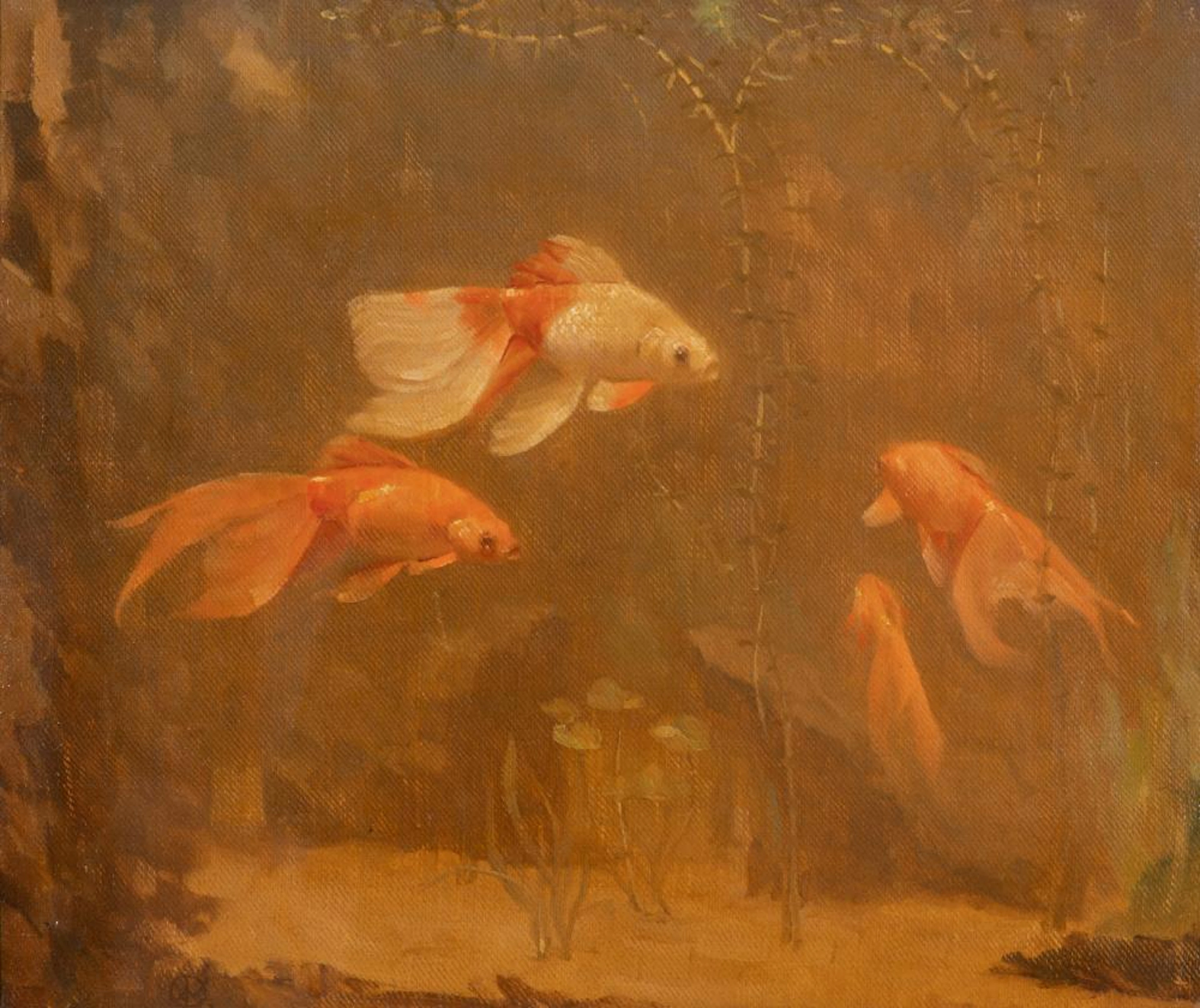Goldfish by Willem Dijsselhof