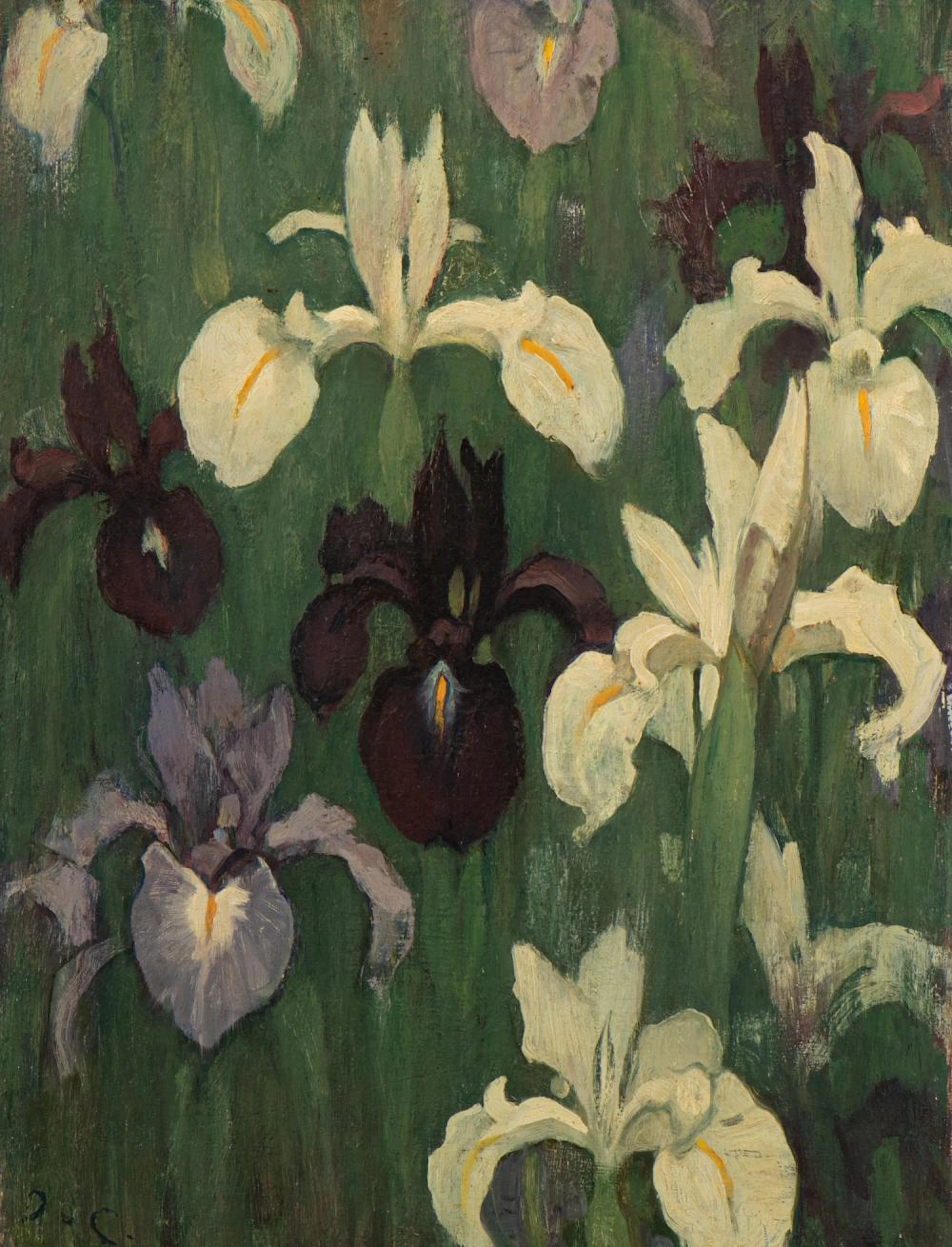 Image of nature - museum piece by Jacobus van Looy