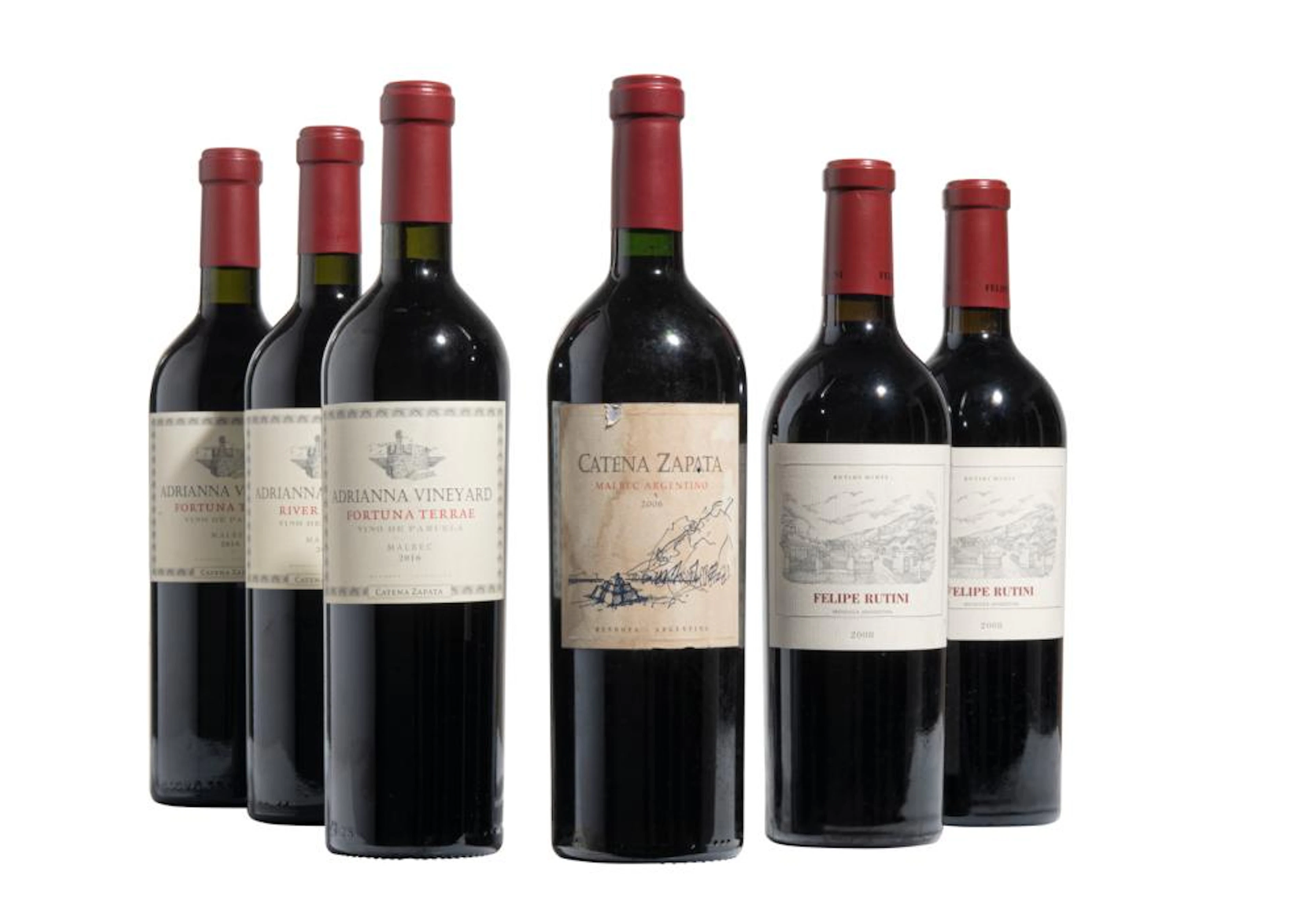 Mixed Argentinian Red Wines: Mendoza.