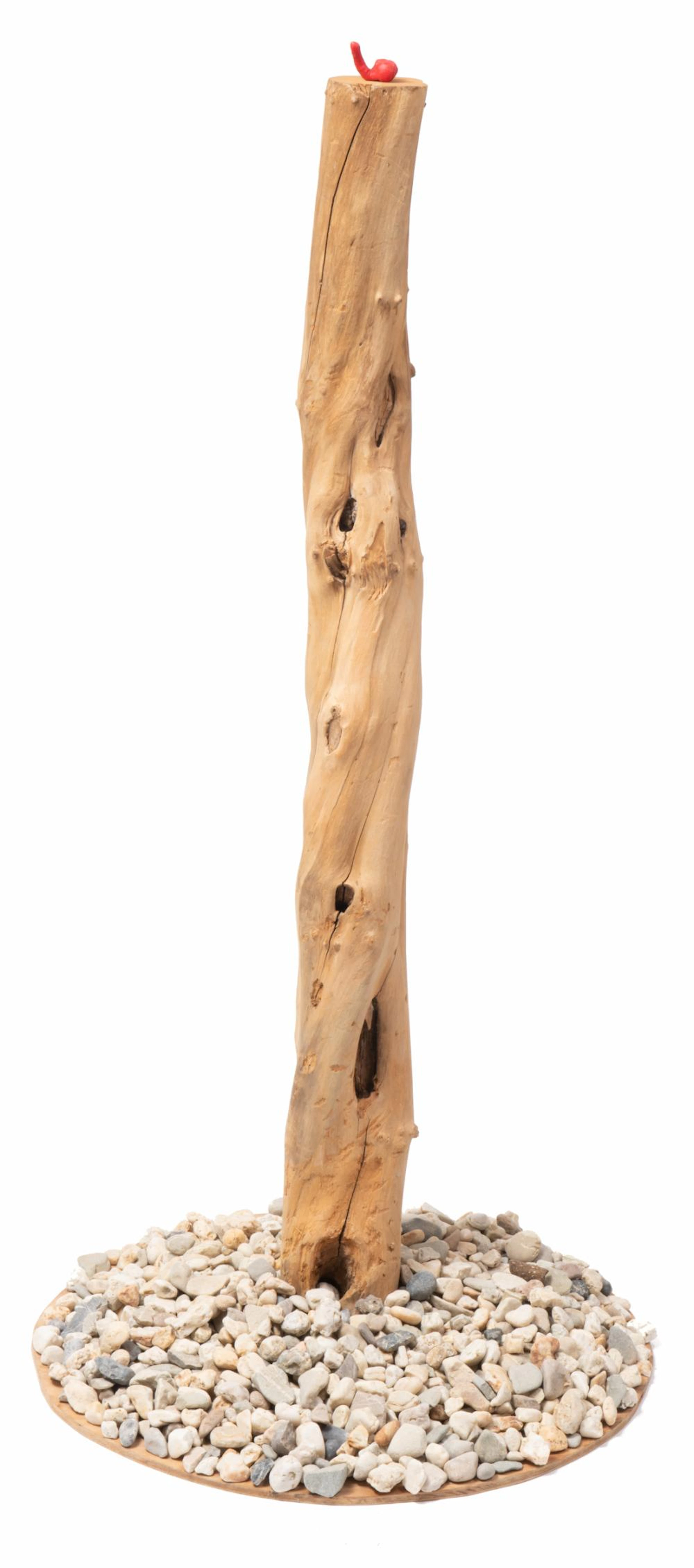 Penis on podium, a typical Van Lieshout