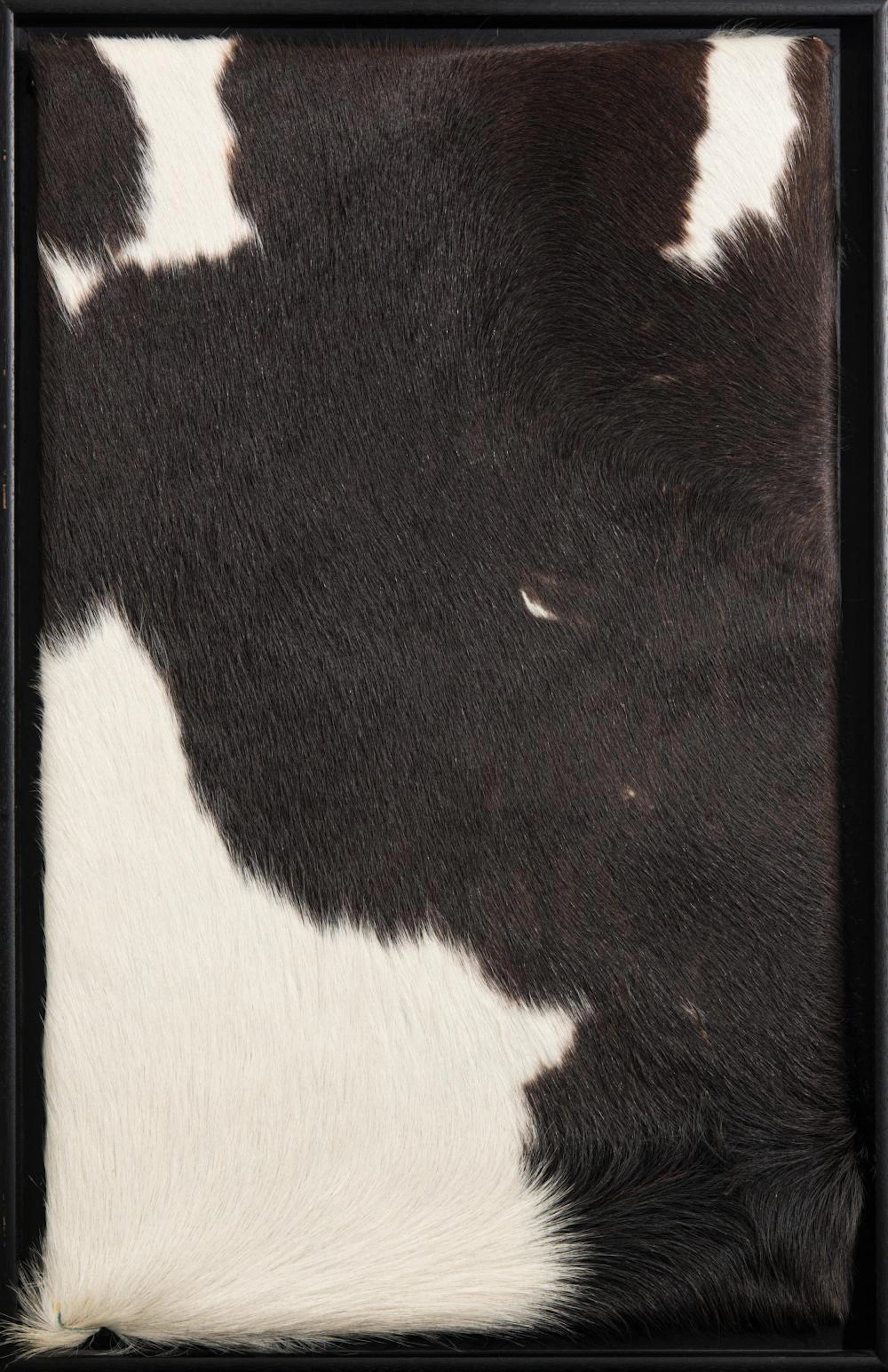Henk Peeters (Dutch 1925 - 2013). Plony 7, 2000.
