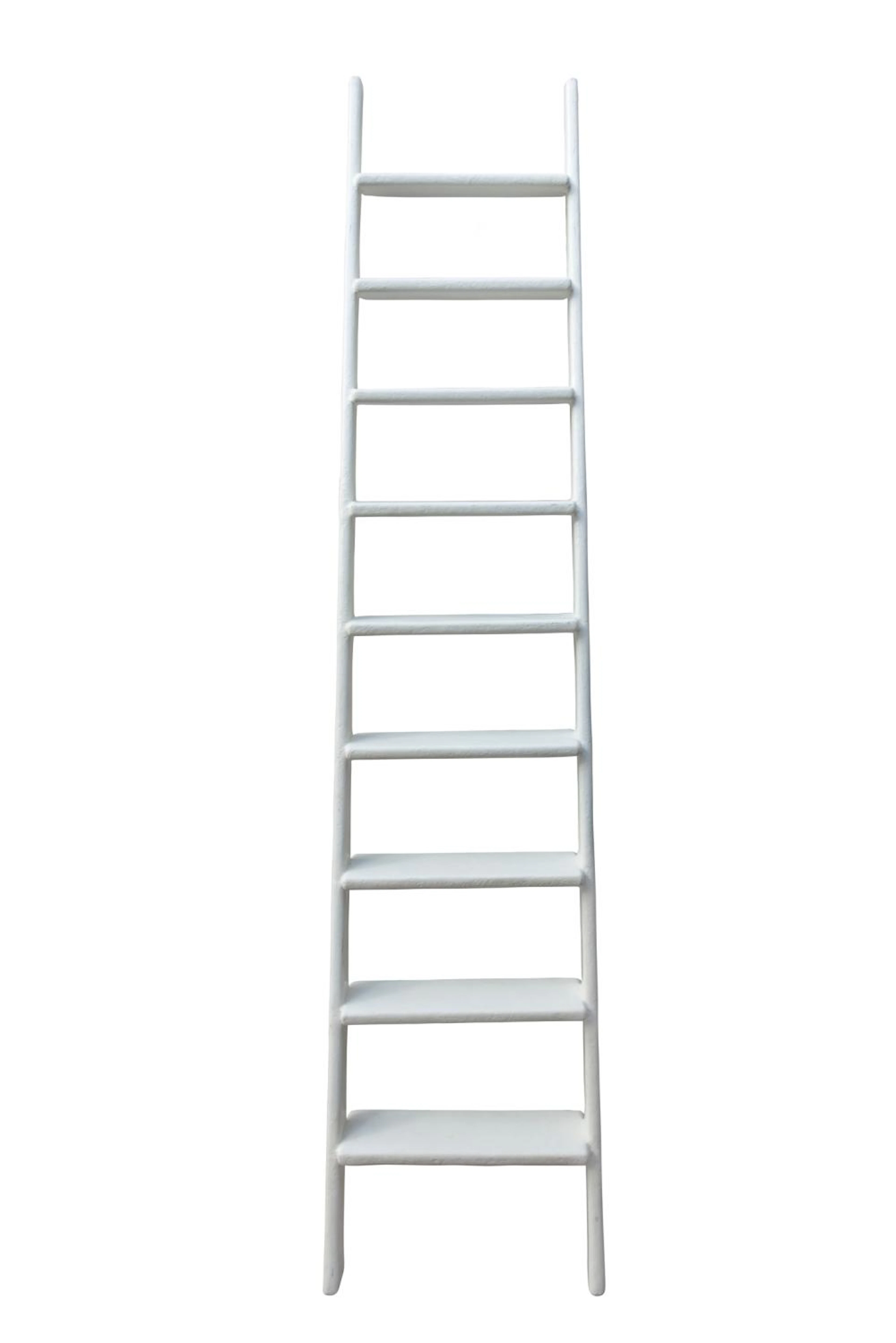 The ladder according to Joep van Lieshout