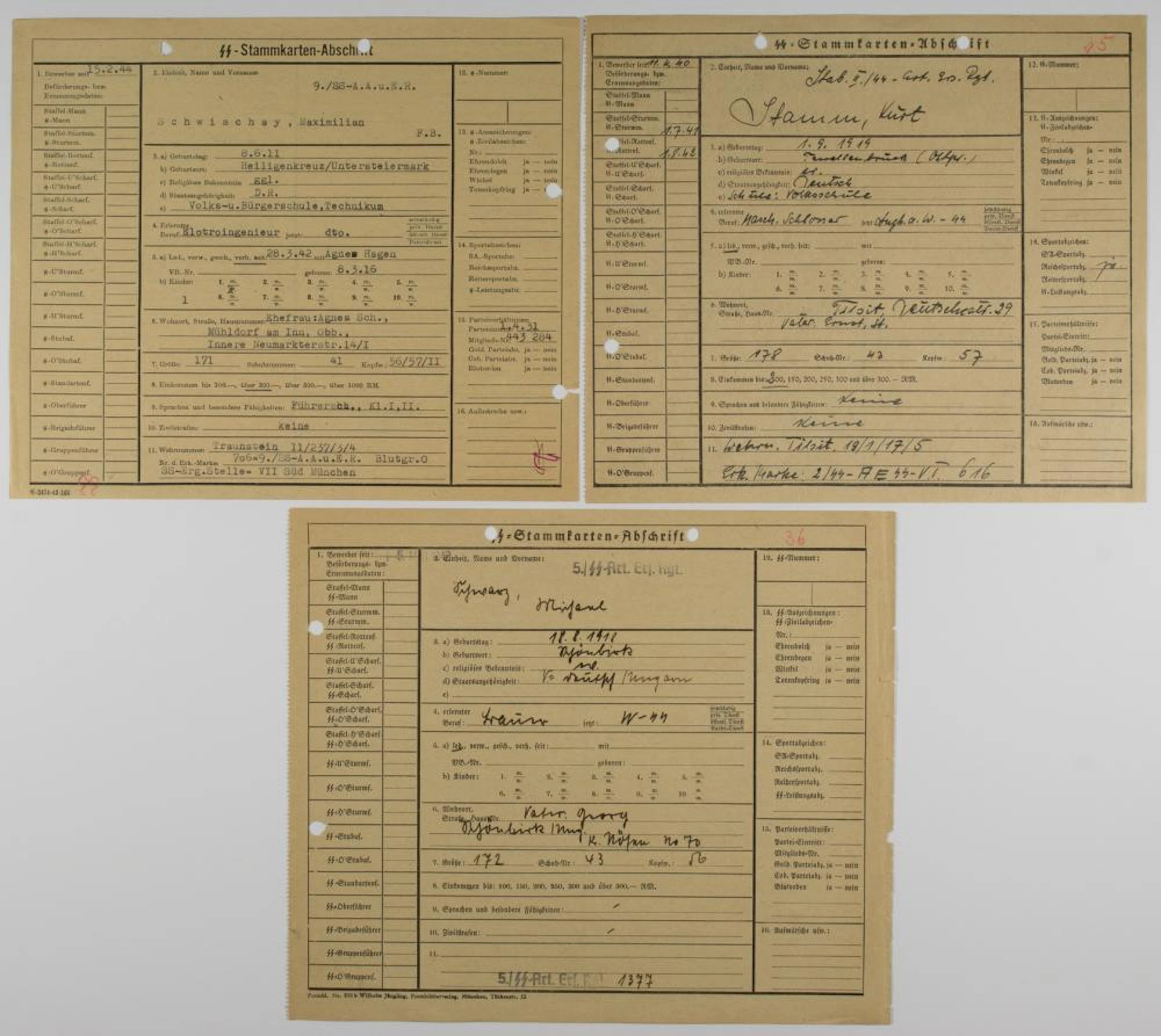 WAFFEN SS 'STAMMKARTENS' (3)
