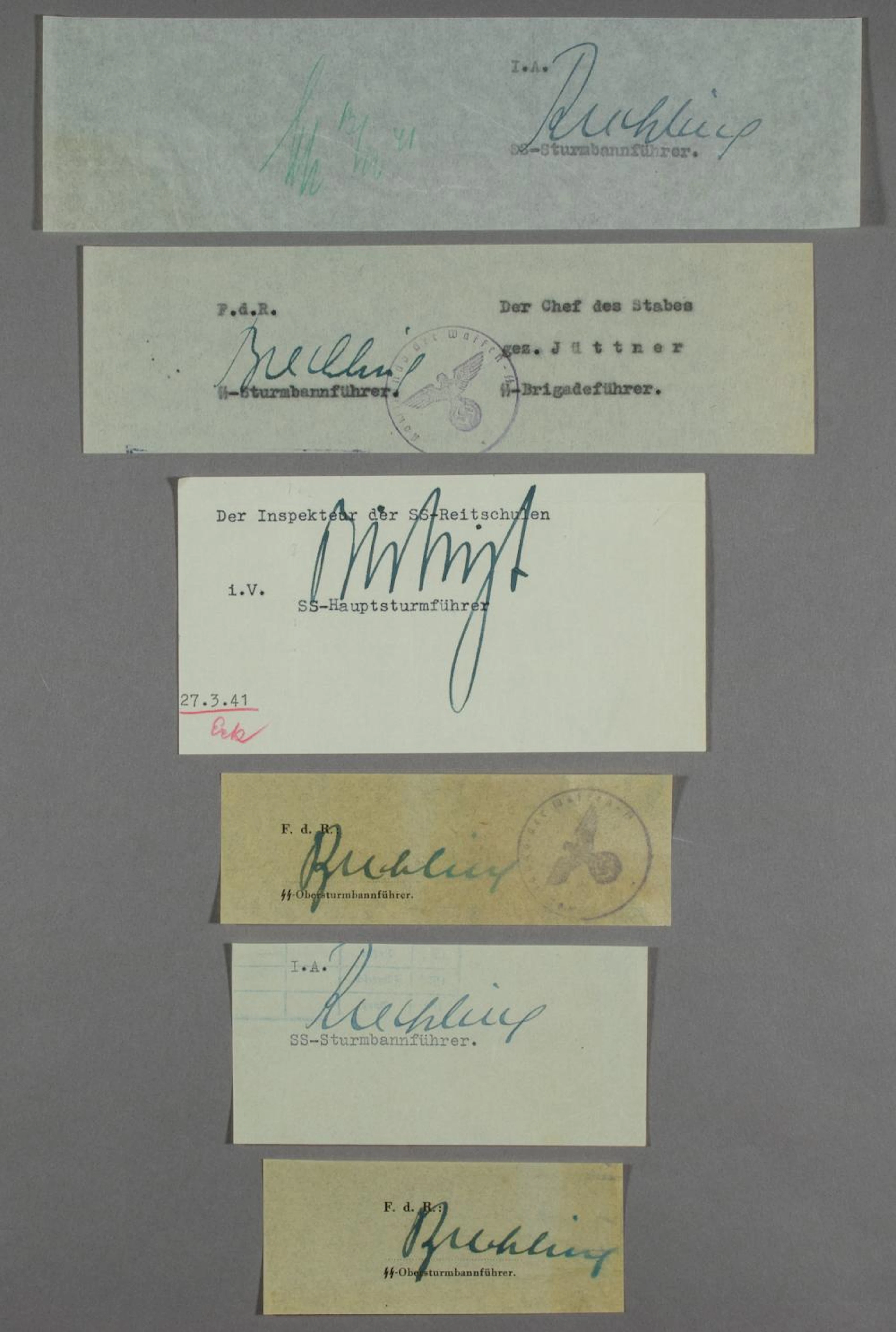 WAFFEN-SS OFFICERS (12)