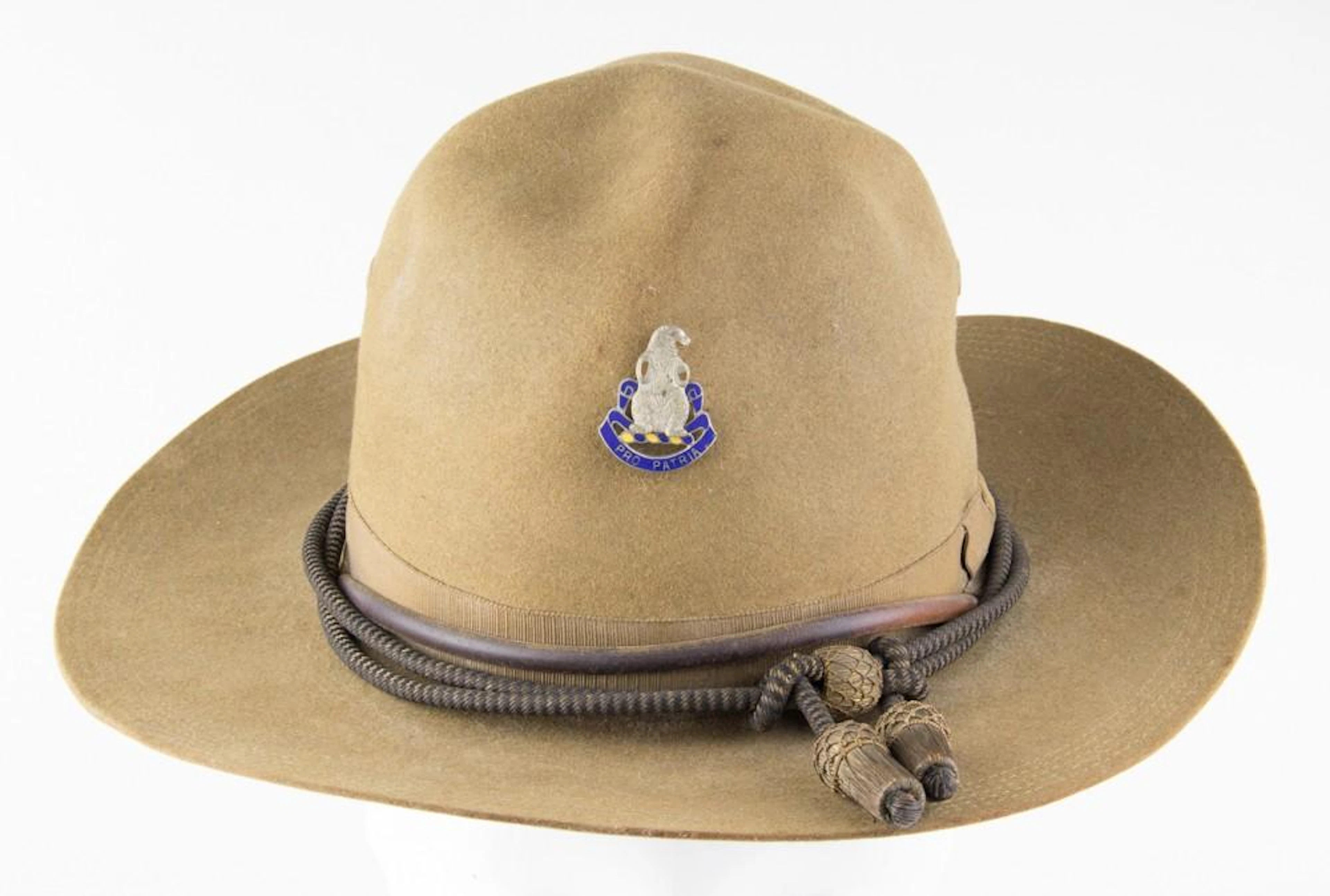 31ST INFANTRY 'POLAR BEARS' CAMPAIGN HAT
