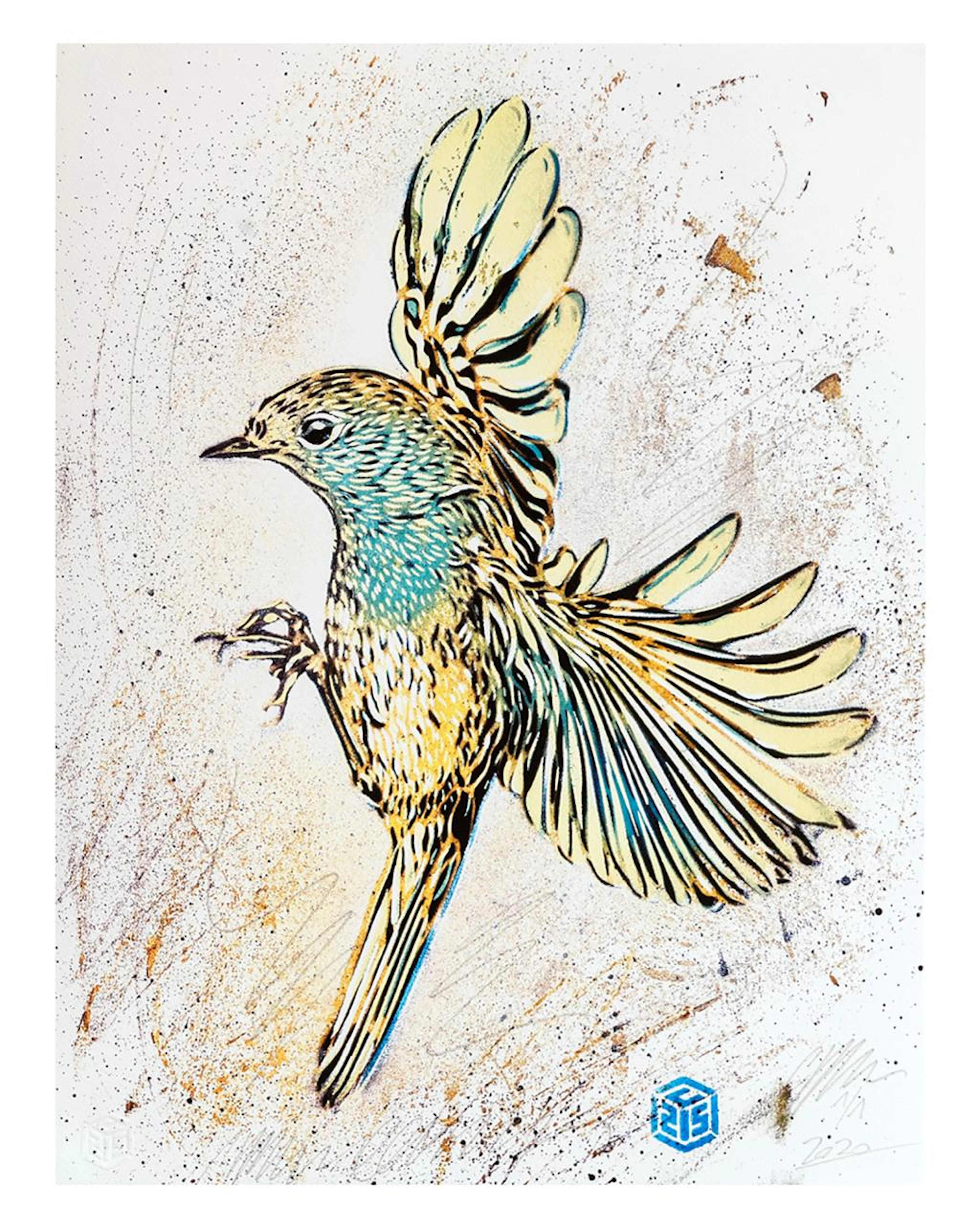 C215 - Sans titre