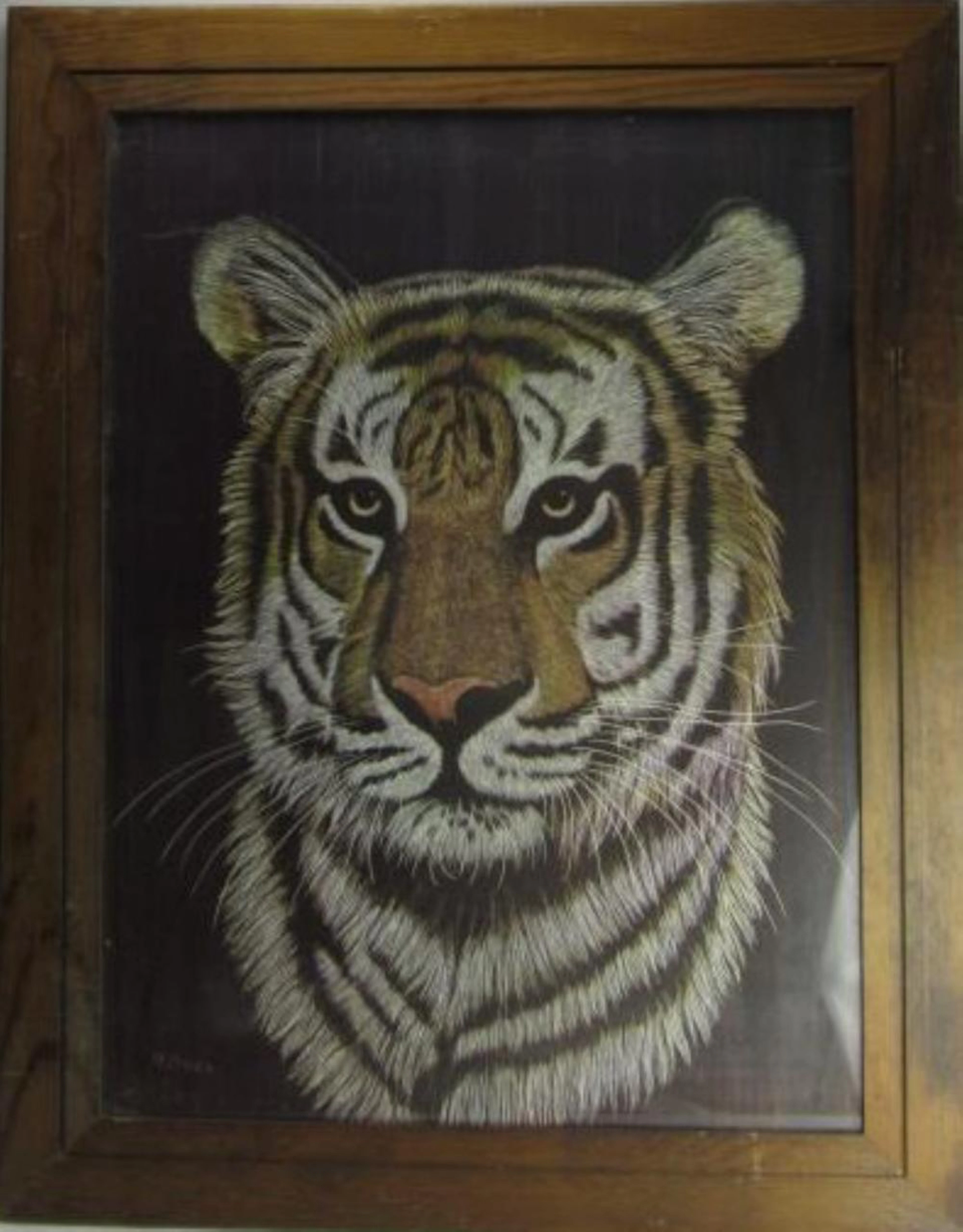 Original Watercolor Painting ( Tiger's eyes);