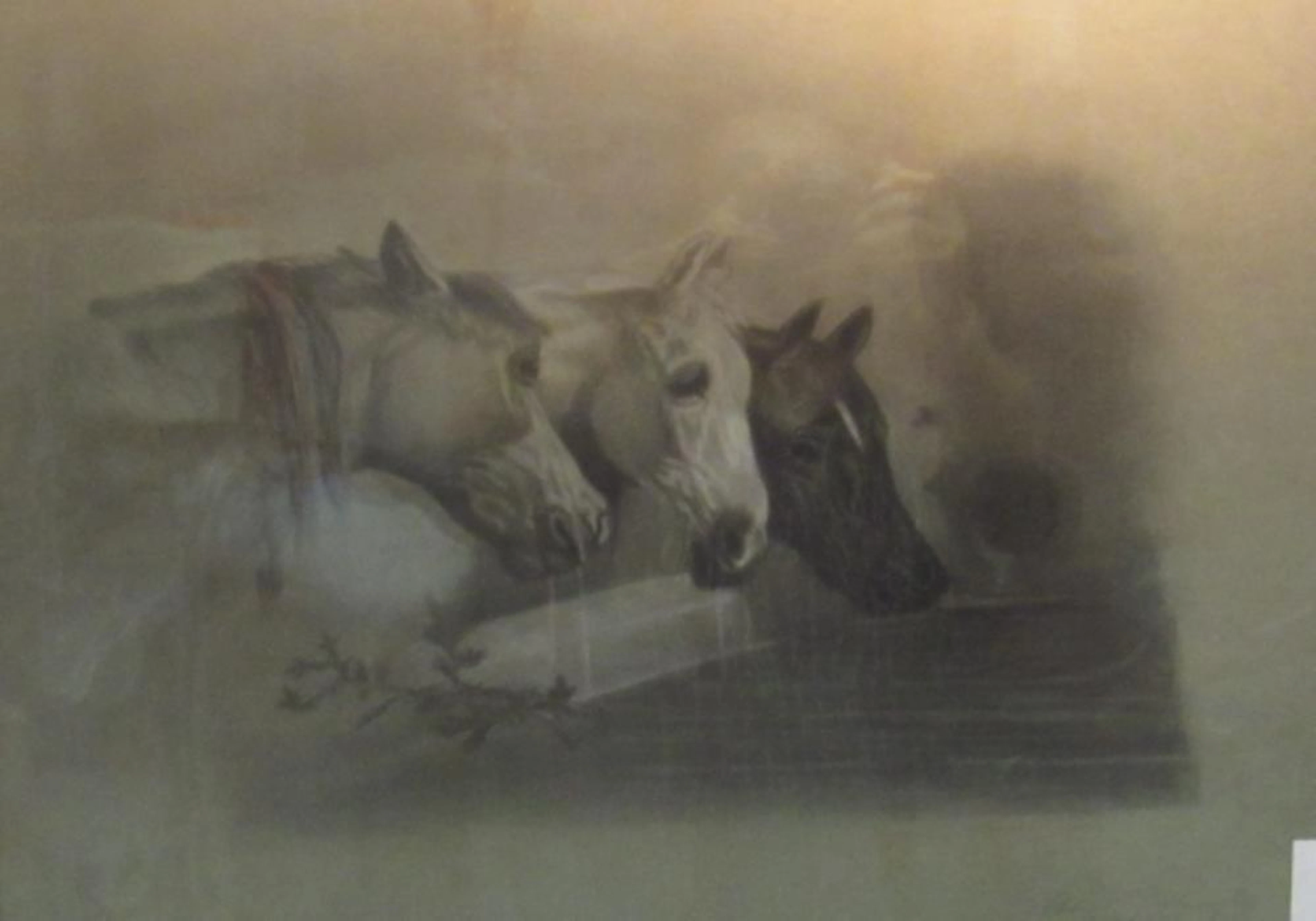 Original Artwork Depicting Three Horses
