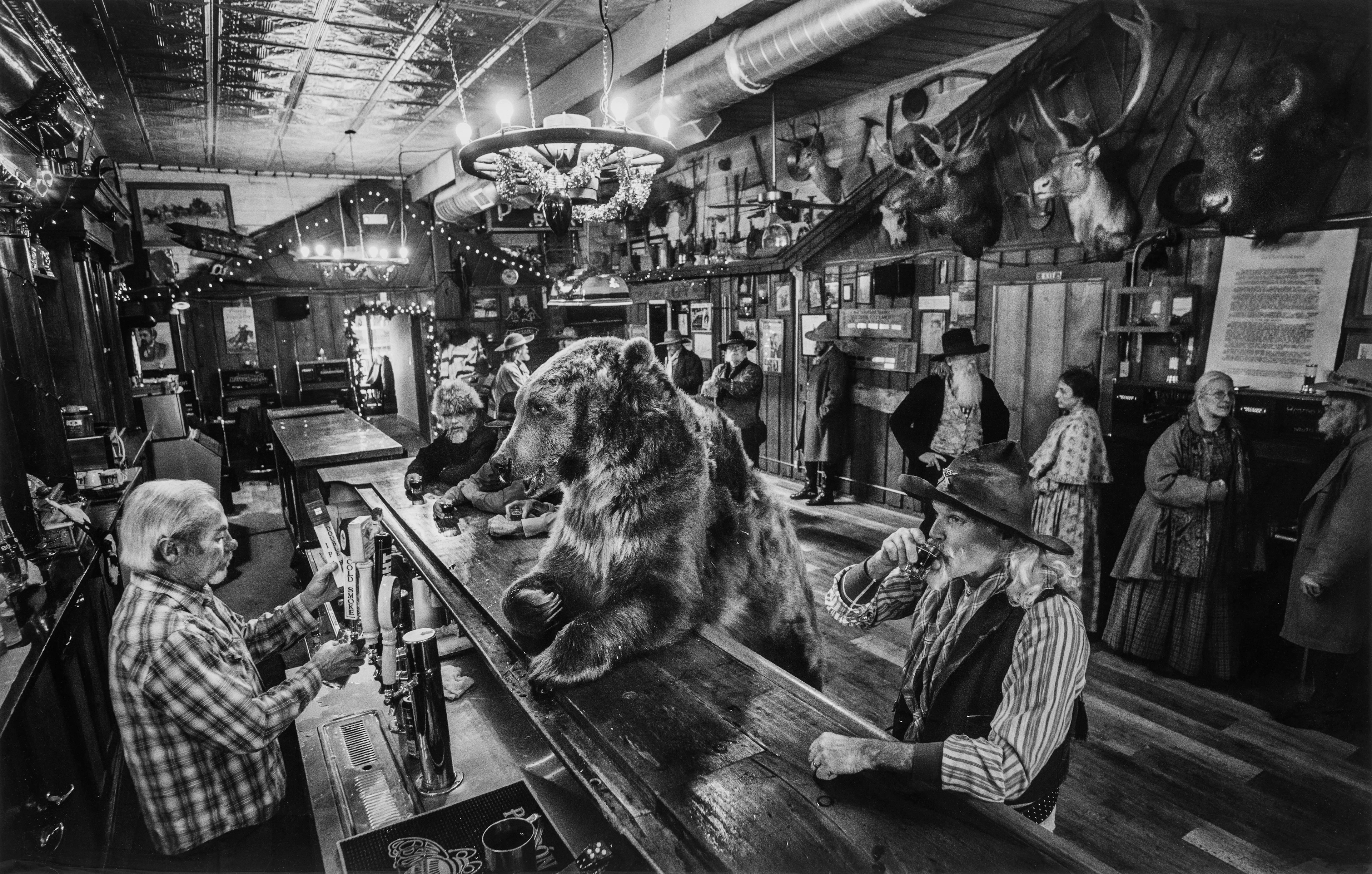 A Bear Walks into a Bar