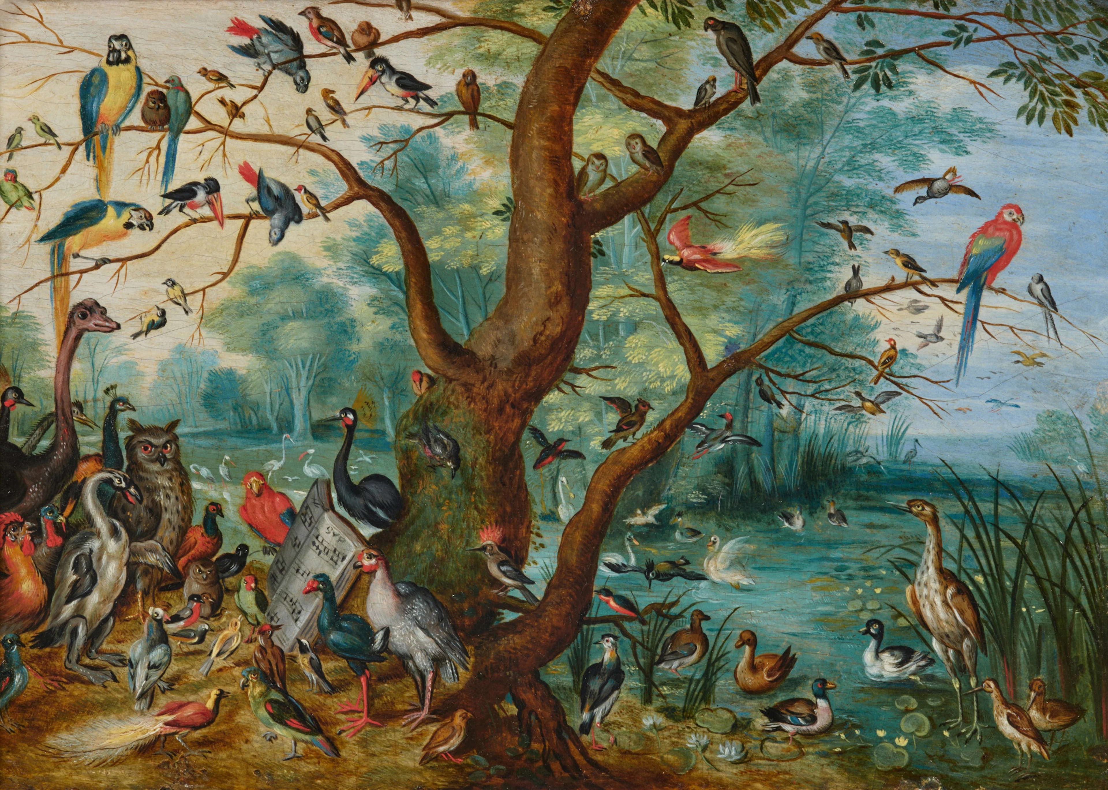 A concert of birds