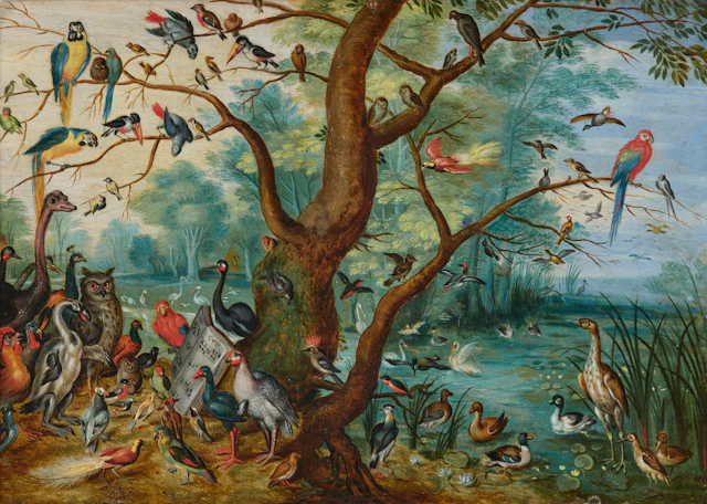 A concert of birds