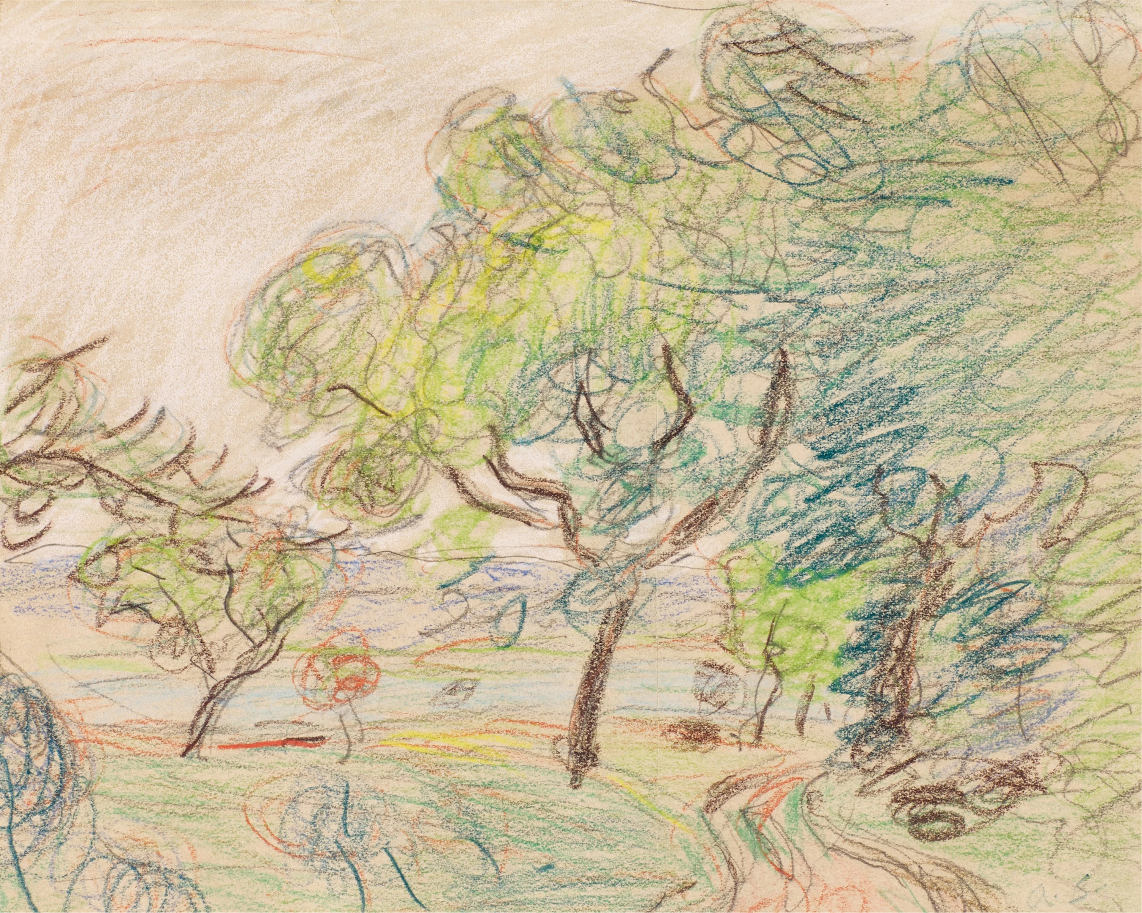 Chemin à la lisière d'un bois