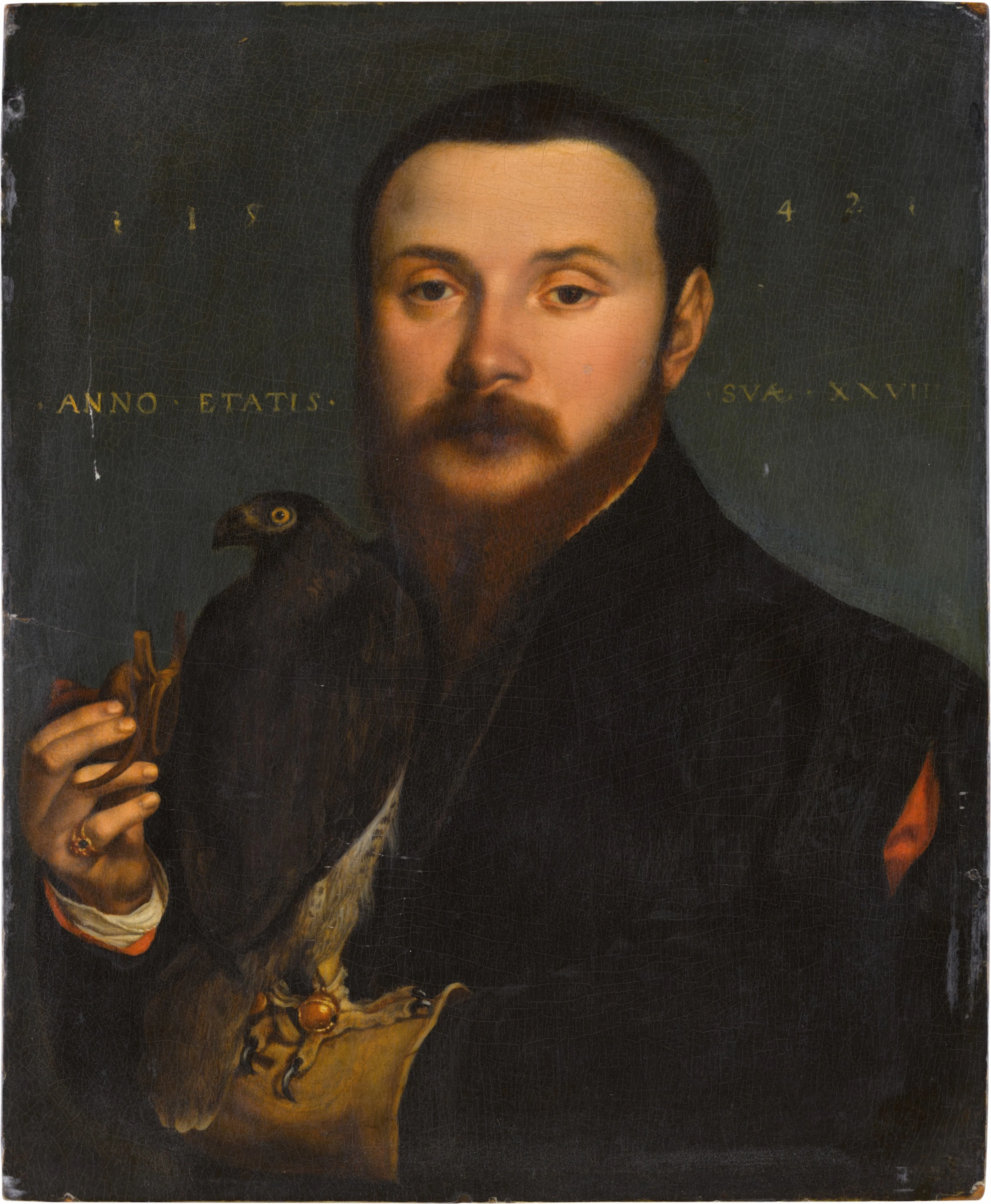 Portrait of a falconer
