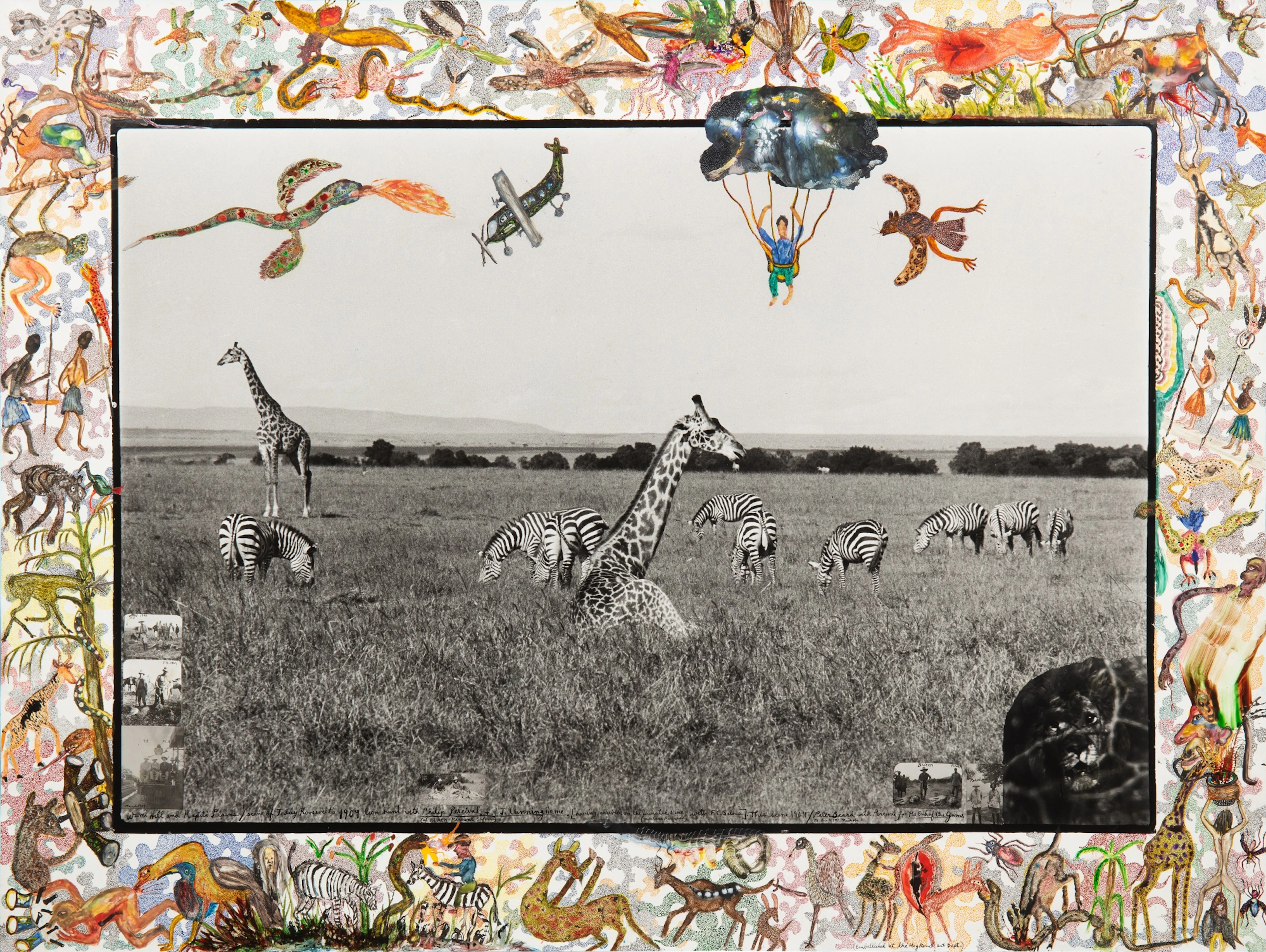 Giraffes and Zebras