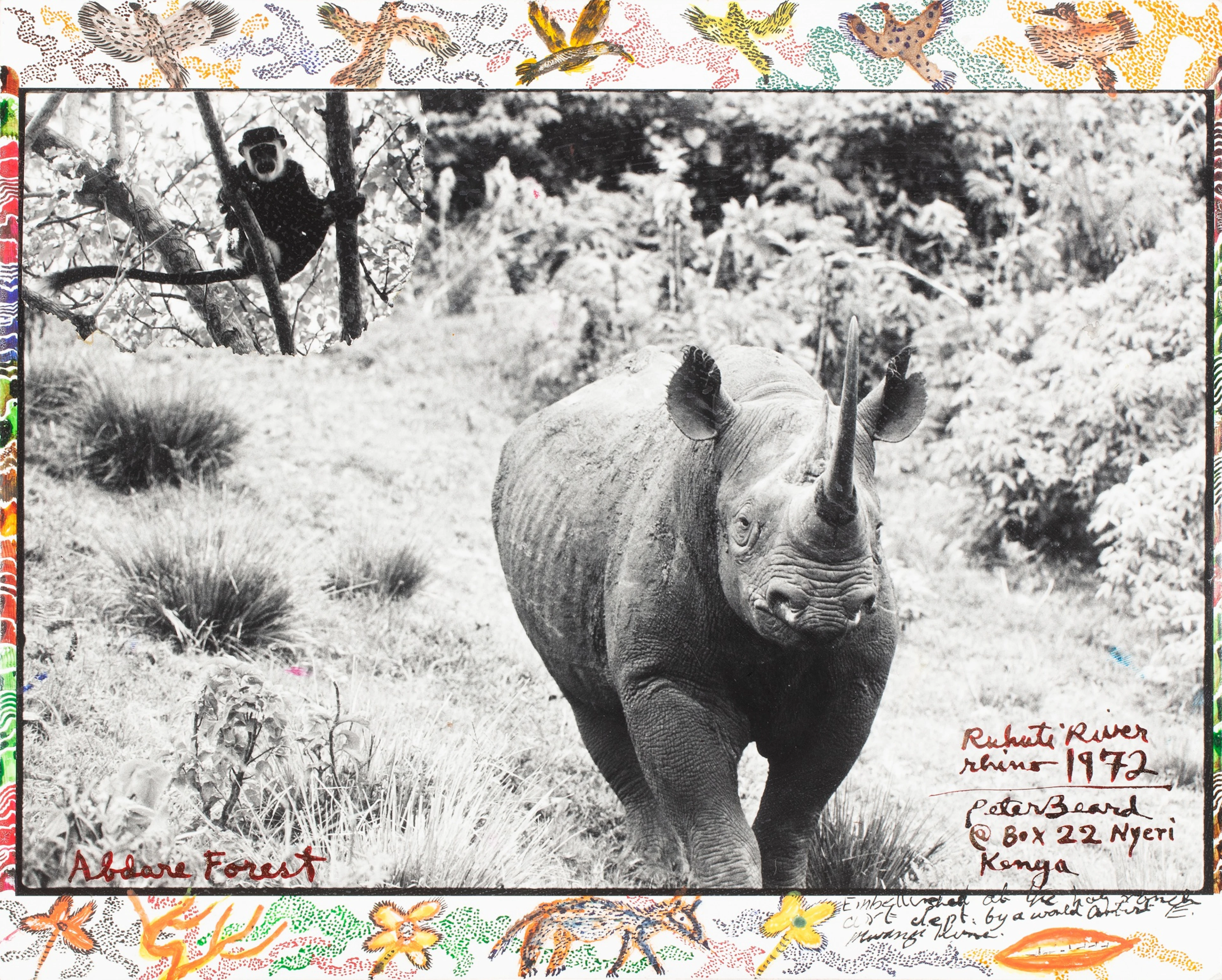 'Ruhuti River Rhino'