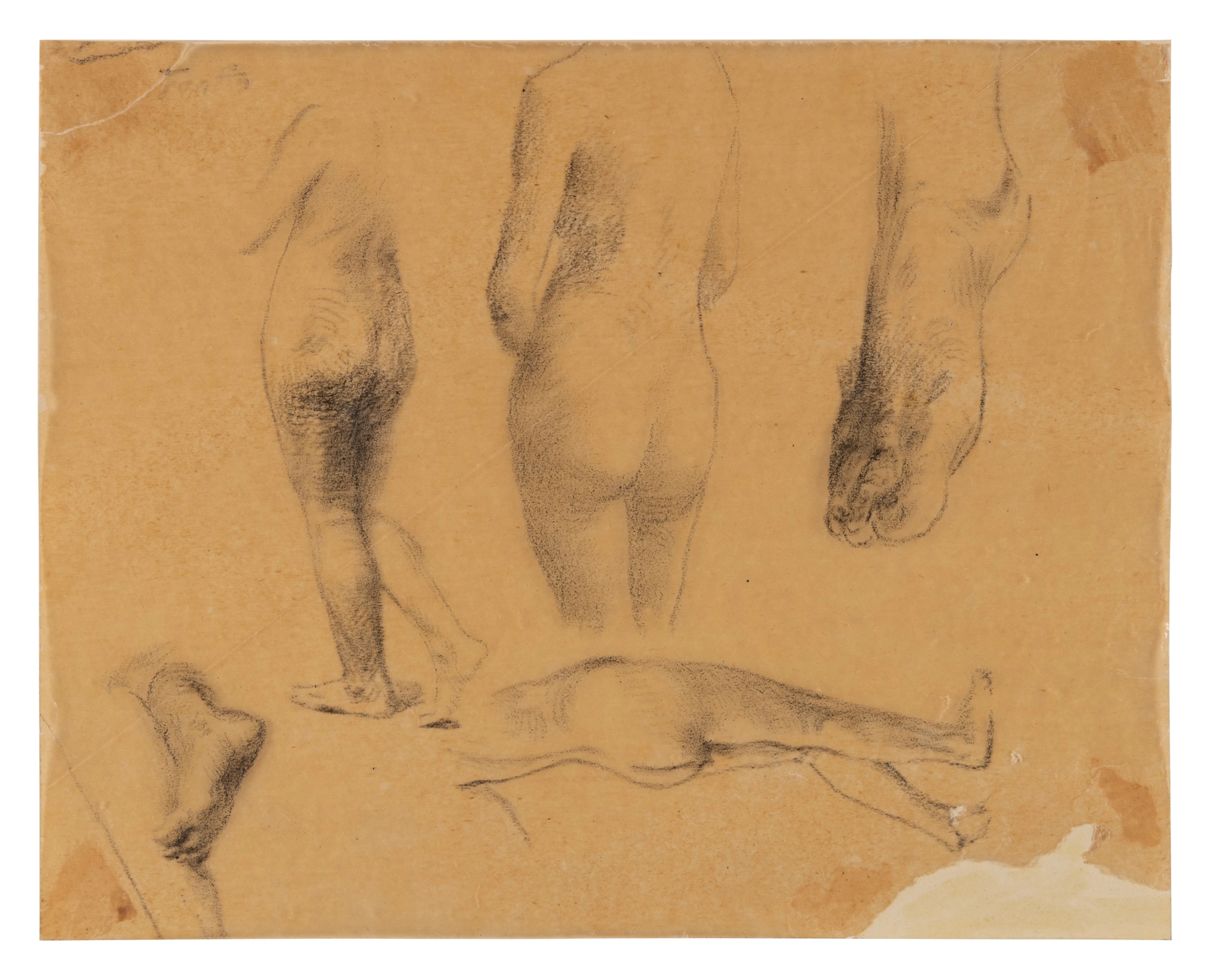 Study of a nude woman seen from behind