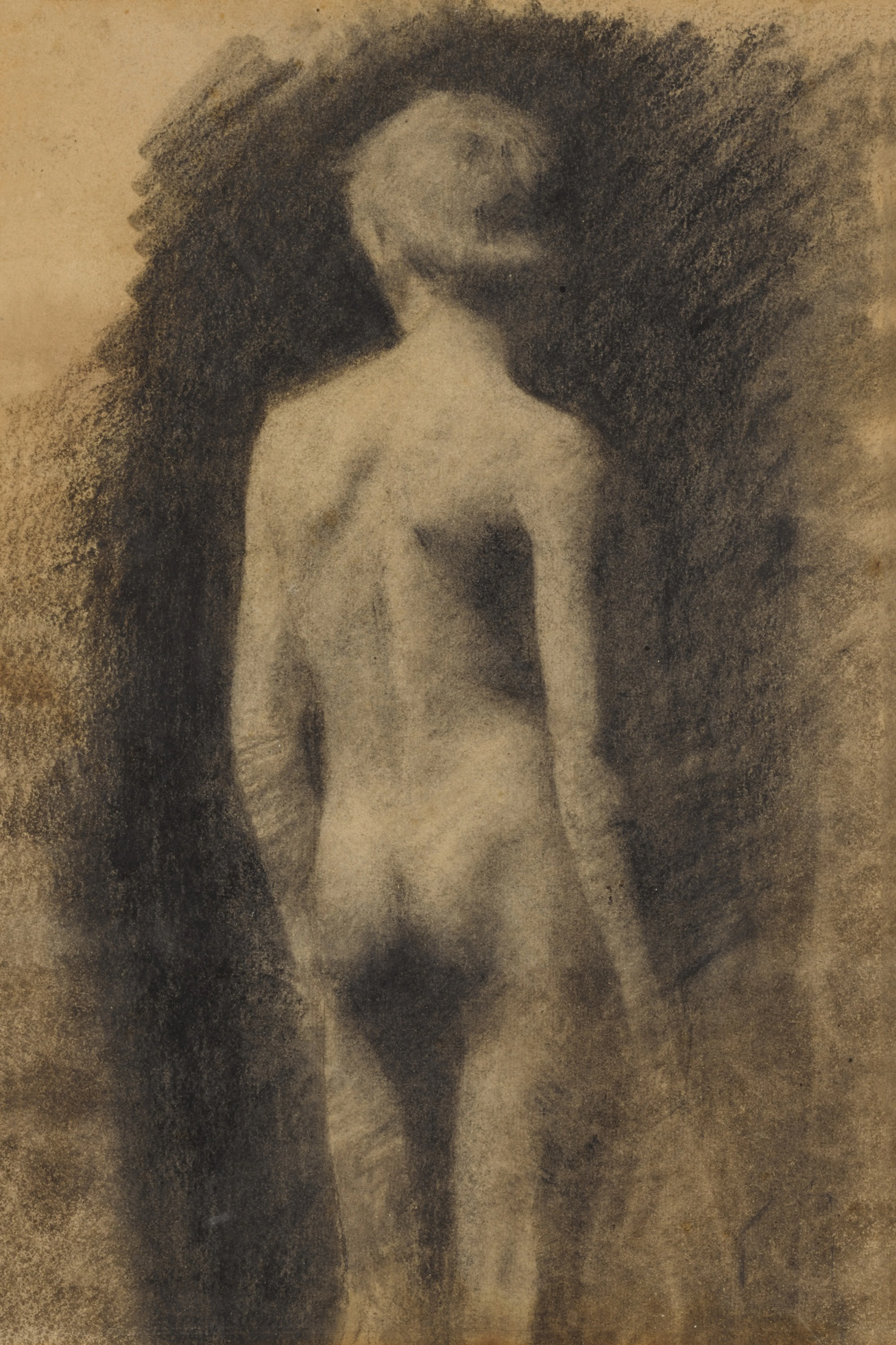 Study of a male nude, from the back