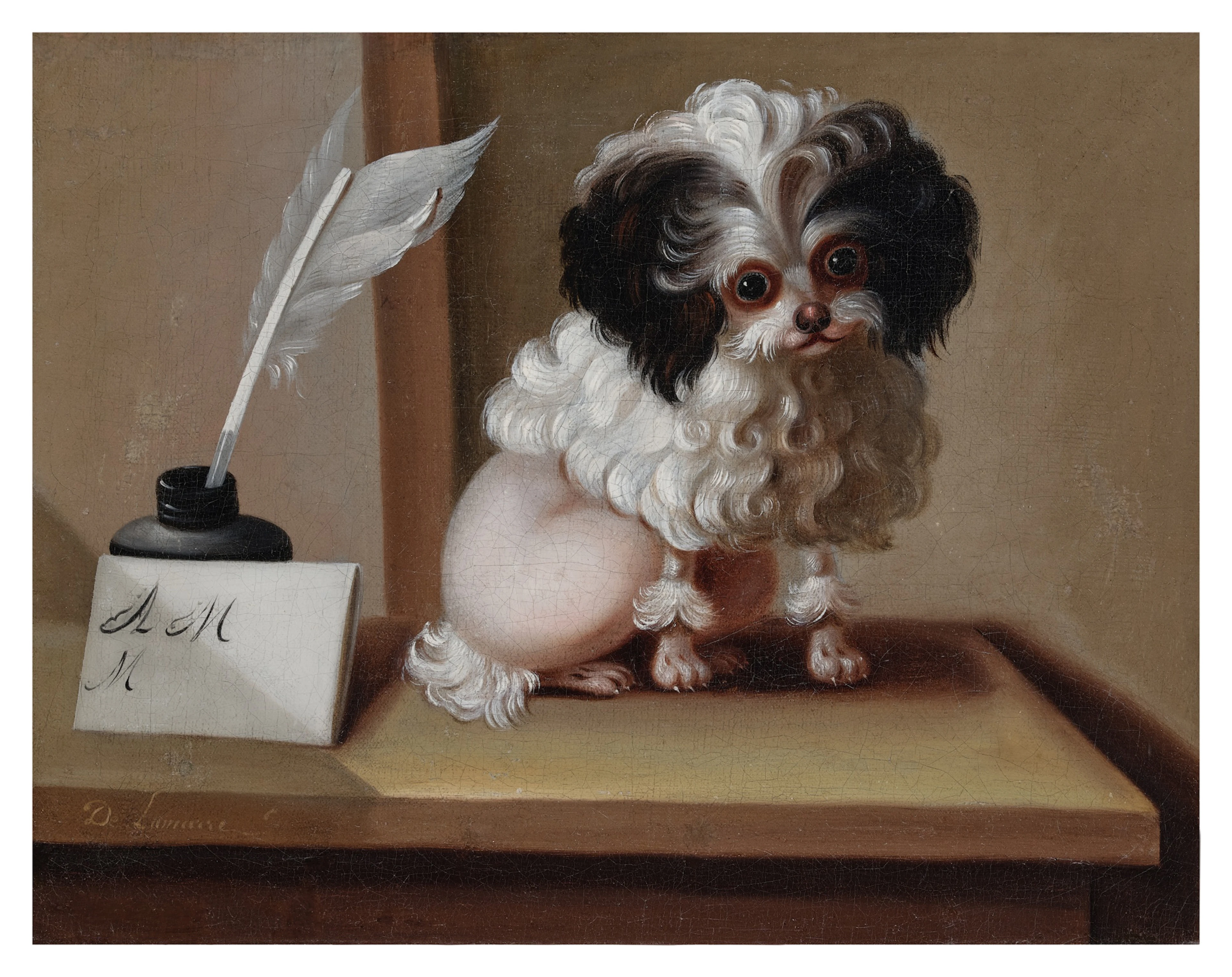 Portrait of a small poodle