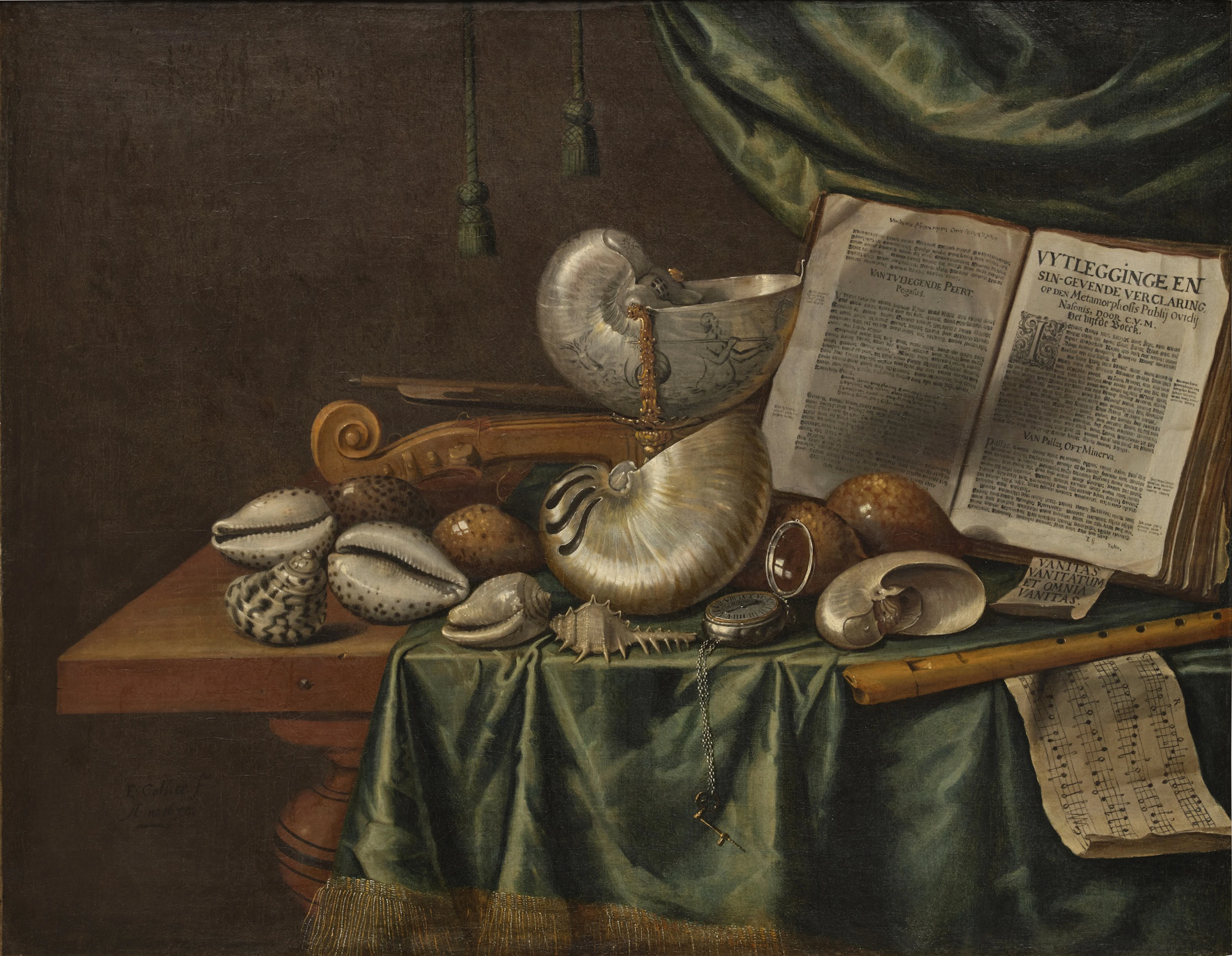 Vanitas still life with assorted shells