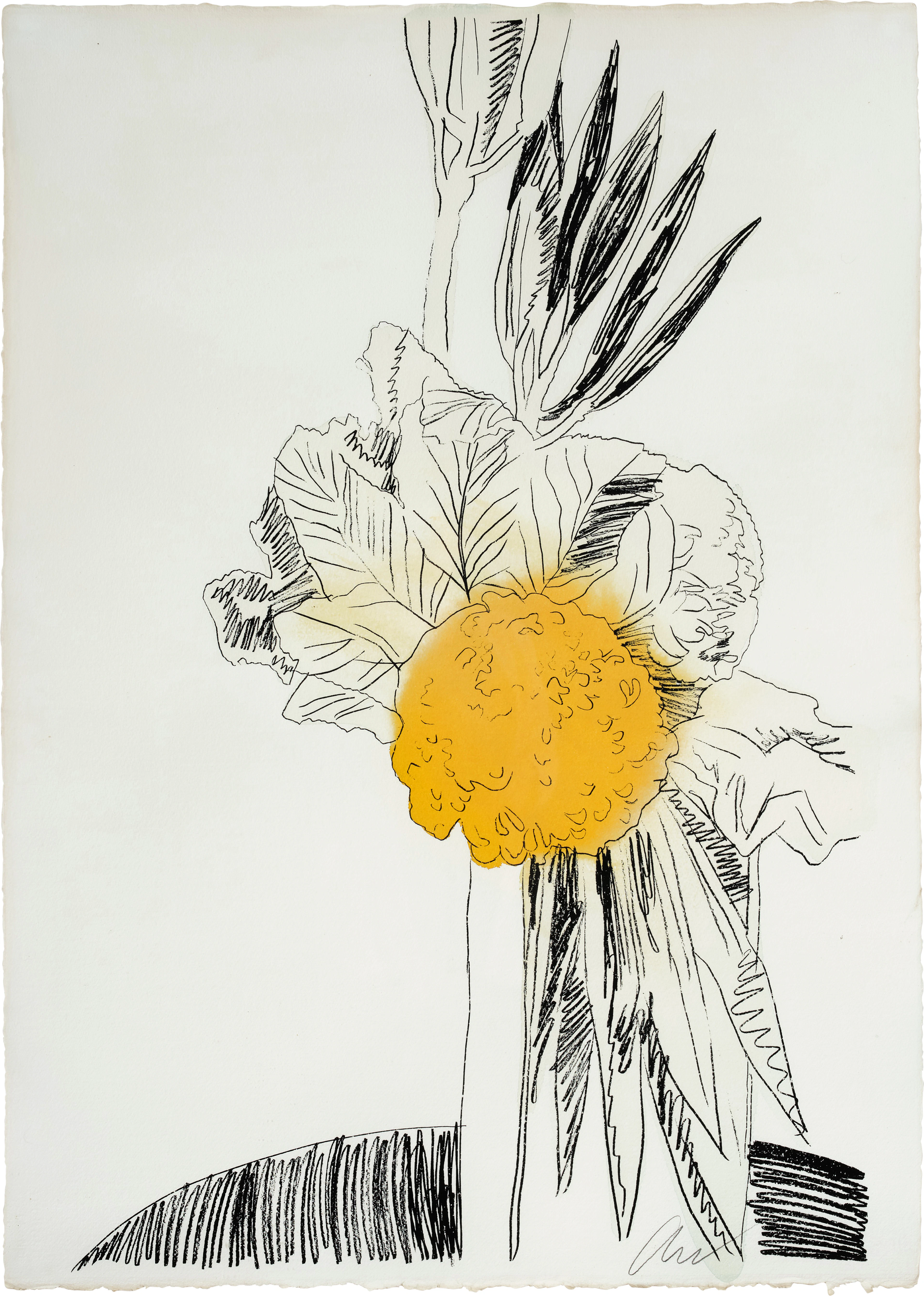 Flowers (Hand-Colored): one print