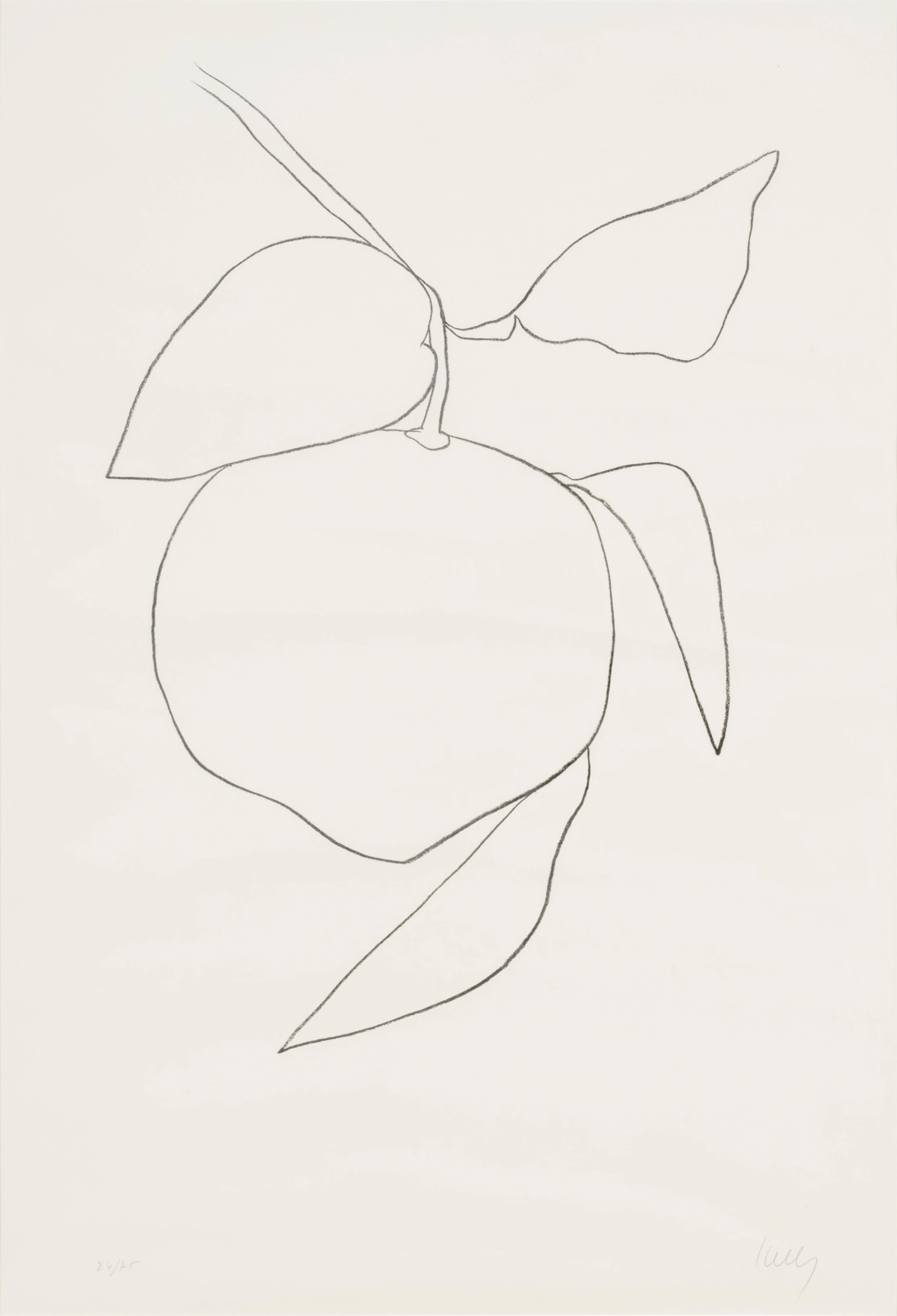 Grapefruit (Pamplemousse), from Suite of Plant Lithographs (A. 34)