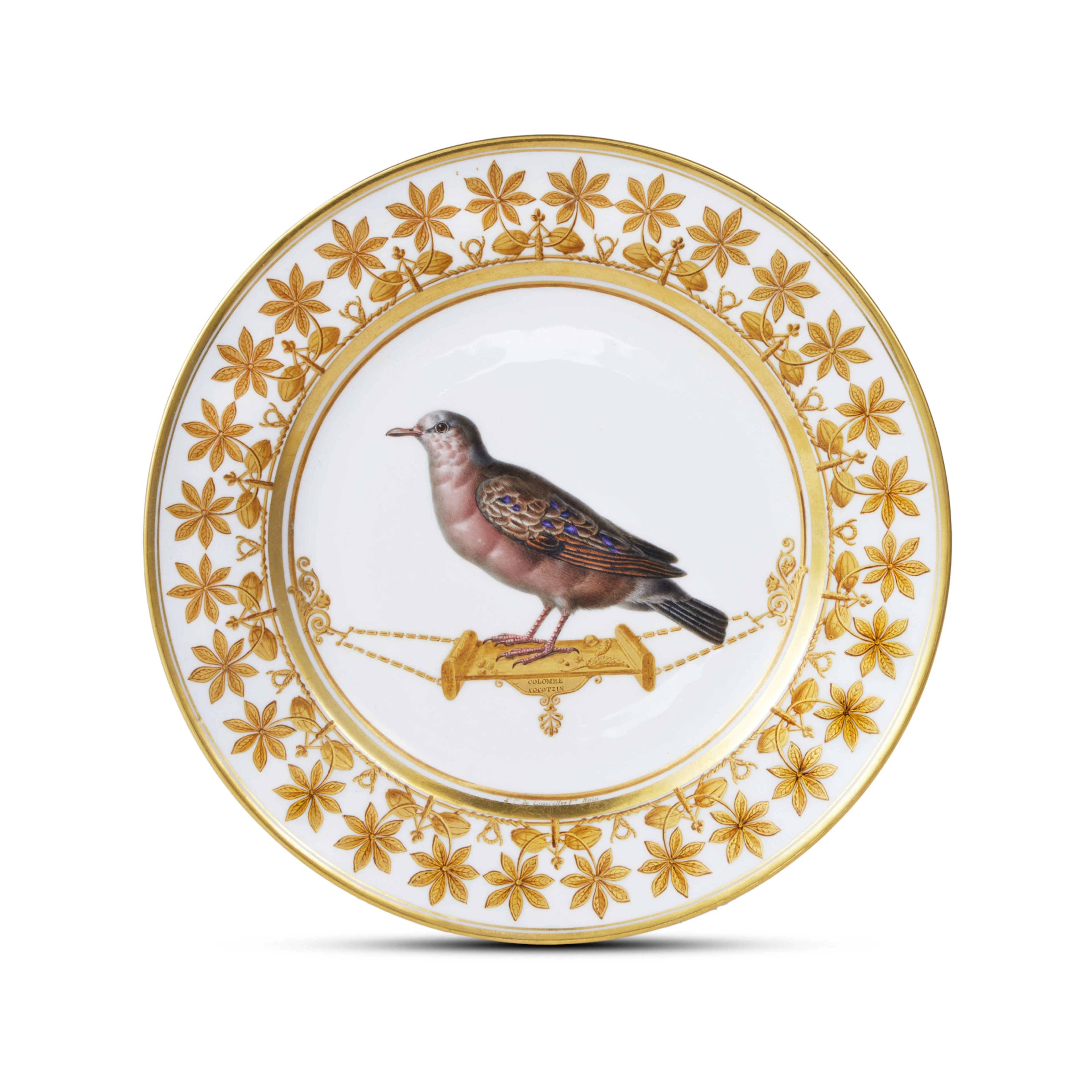 A Sèvres Plate from the Service des oiseaux des Amérique du Sud, Circa 1820