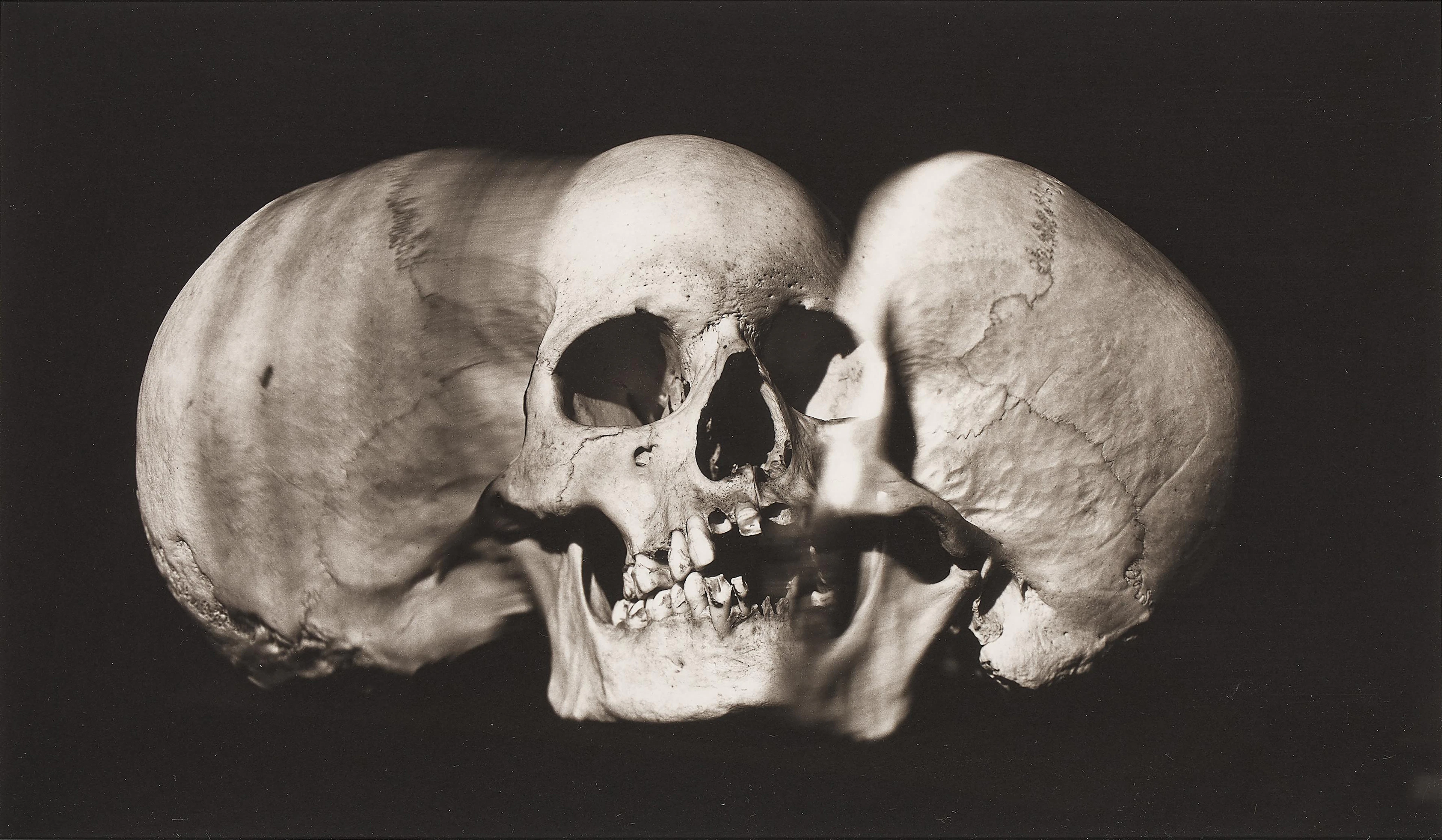 'Wide Skull (A) (New York, 1993)'
